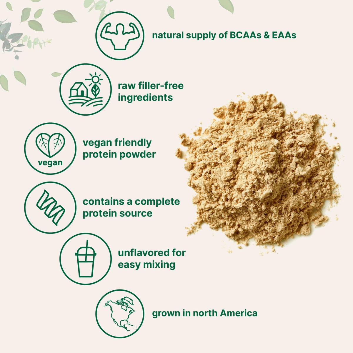 Micro Ingredients North American Grown, Pea Protein Powder, 5 Pounds | Plant Based, Unflavored | Complete Vegan Protein Source with BCAAs & EAAs – 27g Serving | Non-GMO, Keto Friendly - FENGGESTORE20