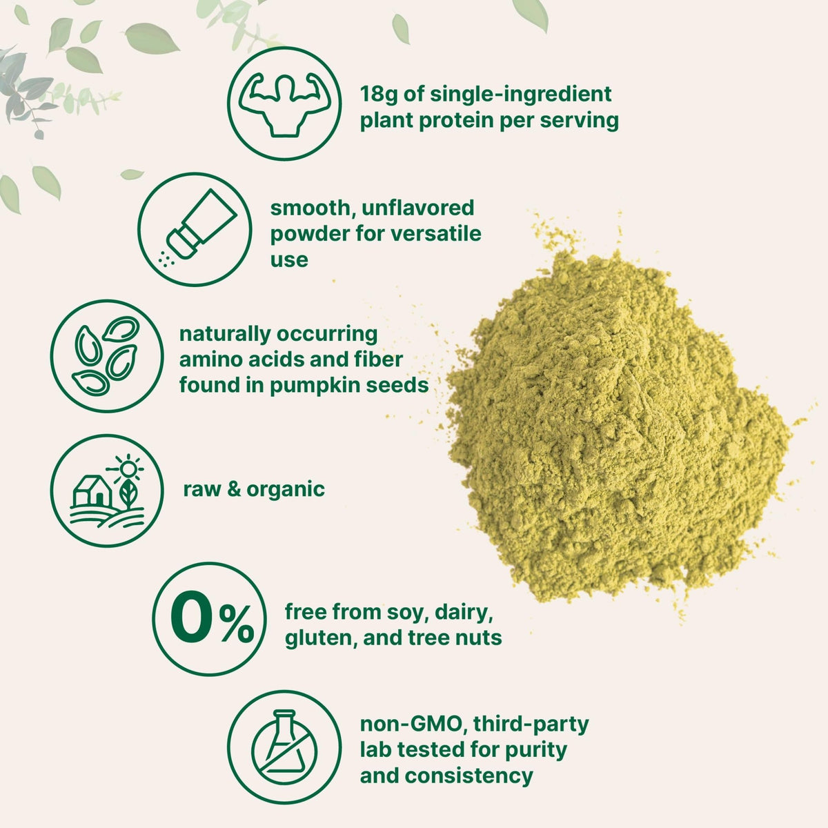 Micro Ingredients Organic Pumpkin Seed Protein Powder, 2lb | Raw Plant-Based Protein | Single-Ingredient Powder | Smooth Texture & Versatile Use | Non-GMO, Soy Free - FENGGESTORE20