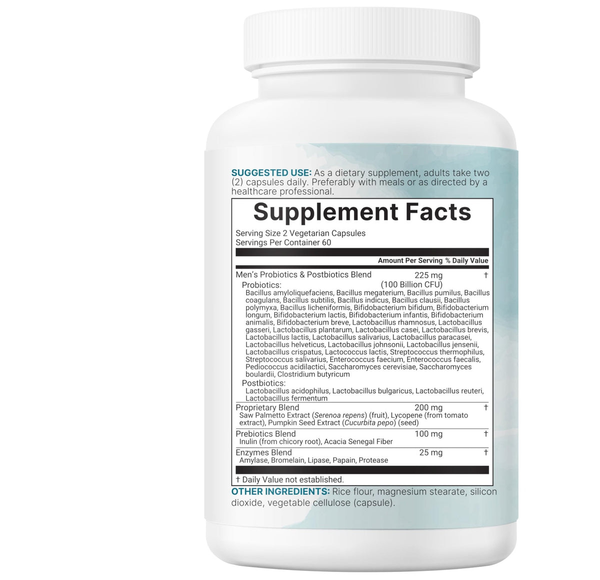Micro Ingredients Probiotics for Men 100 Billion CFU, 40 Strains, 120 Vegetarian Capsules | Pre, Probiotics, Postbiotics & Enzymes | Pre, Probiotics, Enzymes, Saw Palmetto, Pumpkin Seed & Lycopene - FENGGESTORE20