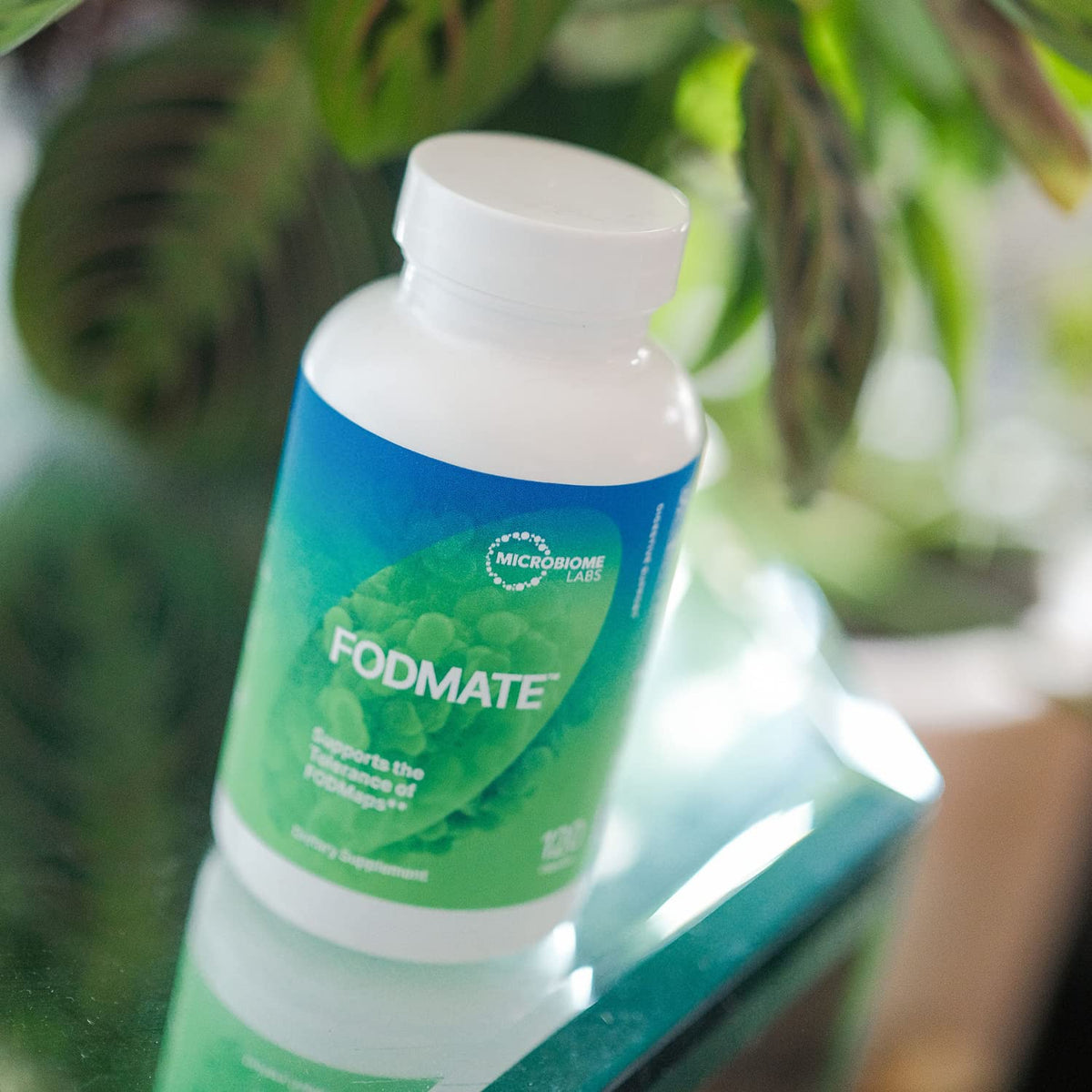 Microbiome Labs FODMATE Digestive Enzymes for Women & Men - Digestive Support for Low FODMAP Protocols & Occasional Bloating, Gas & Stomach Relief (120 Capsules) - FENGGESTORE20