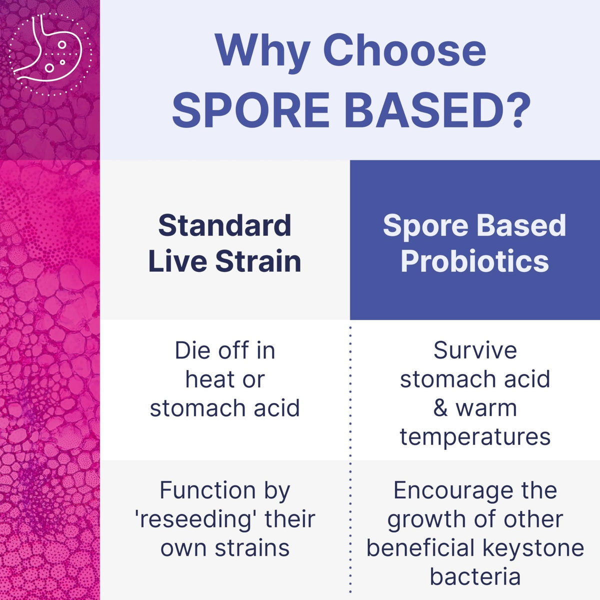 Microbiome Labs MegaSporeBiotic Probiotics for Women & Men - Spore-Based Probiotic for Gut Health & Digestive Support - Shelf-Stable, Travel-Friendly - FENGGESTORE20