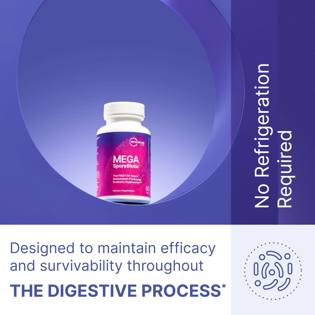 Microbiome Labs MegaSporeBiotic Probiotics for Women & Men - Spore-Based Probiotic for Gut Health & Digestive Support - Shelf-Stable, Travel-Friendly, - FENGGESTORE20