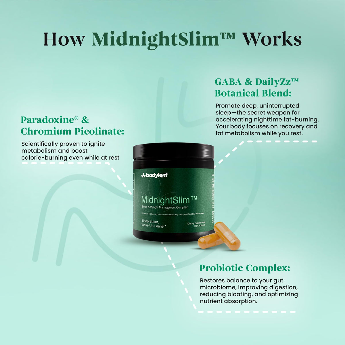 MidnightSlim™ | Advanced Nighttime Weight | Maximum Strength Metabolism Support, Digestive Health, Peaceful Sleep | Premium Probiotic Complex | 30 Capsules - FENGGESTORE20