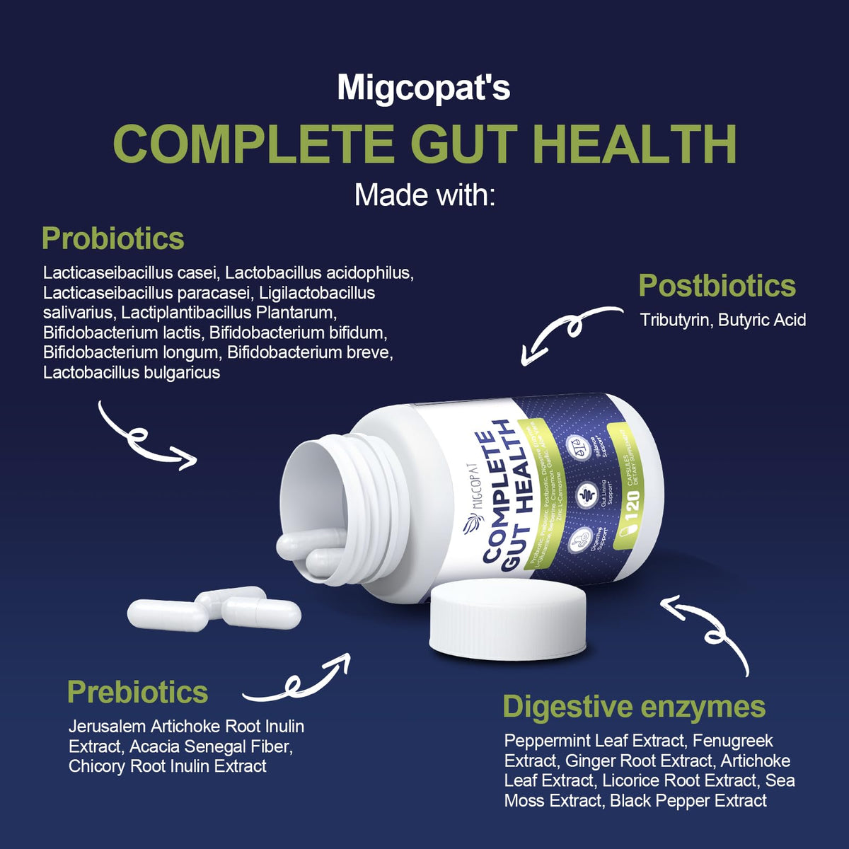 Migcopat Probiotic Prebiotic, Postbiotic & Digestive Enzymes for Digestive Health, 80 Billion CFU Probiotics Complete Gut Support with Berberine, Cinnamon, L-Glutamine - FENGGESTORE20