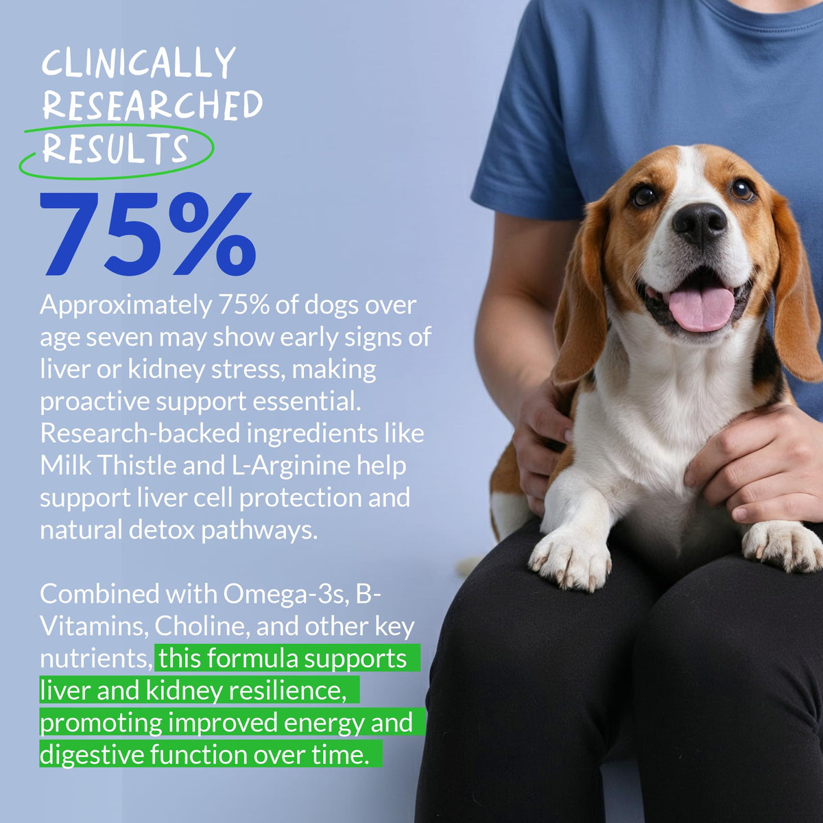 Milk Thistle for Dogs - 120 Chewable Tablets - Silymarin - Liver and Kidney Support with EPA & DHA - Detox - Liver Supplement for Dogs - FENGGESTORE20