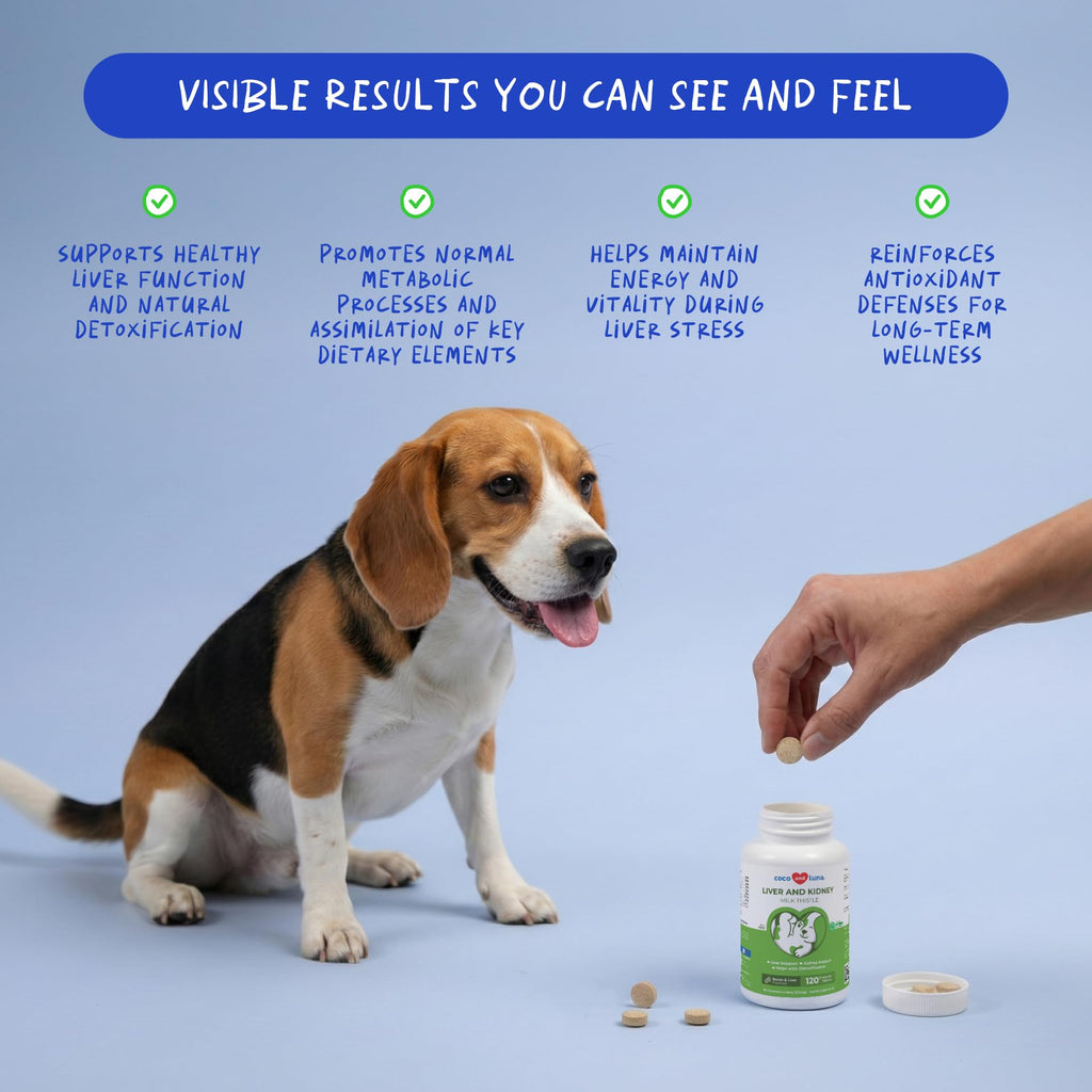 Milk Thistle for Dogs - 120 Chewable Tablets - Silymarin - Liver and Kidney Support with EPA & DHA - Detox - Liver Supplement for Dogs - FENGGESTORE20