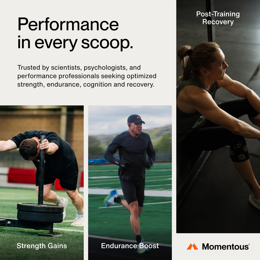 Momentous Creatine Monohydrate Powder - Creatine Powder - Supports Strength, Lean Muscle, & Recovery for Men & Women - NSF Certified for Sport - 5 g per Serving - 30 Servings - FENGGESTORE20