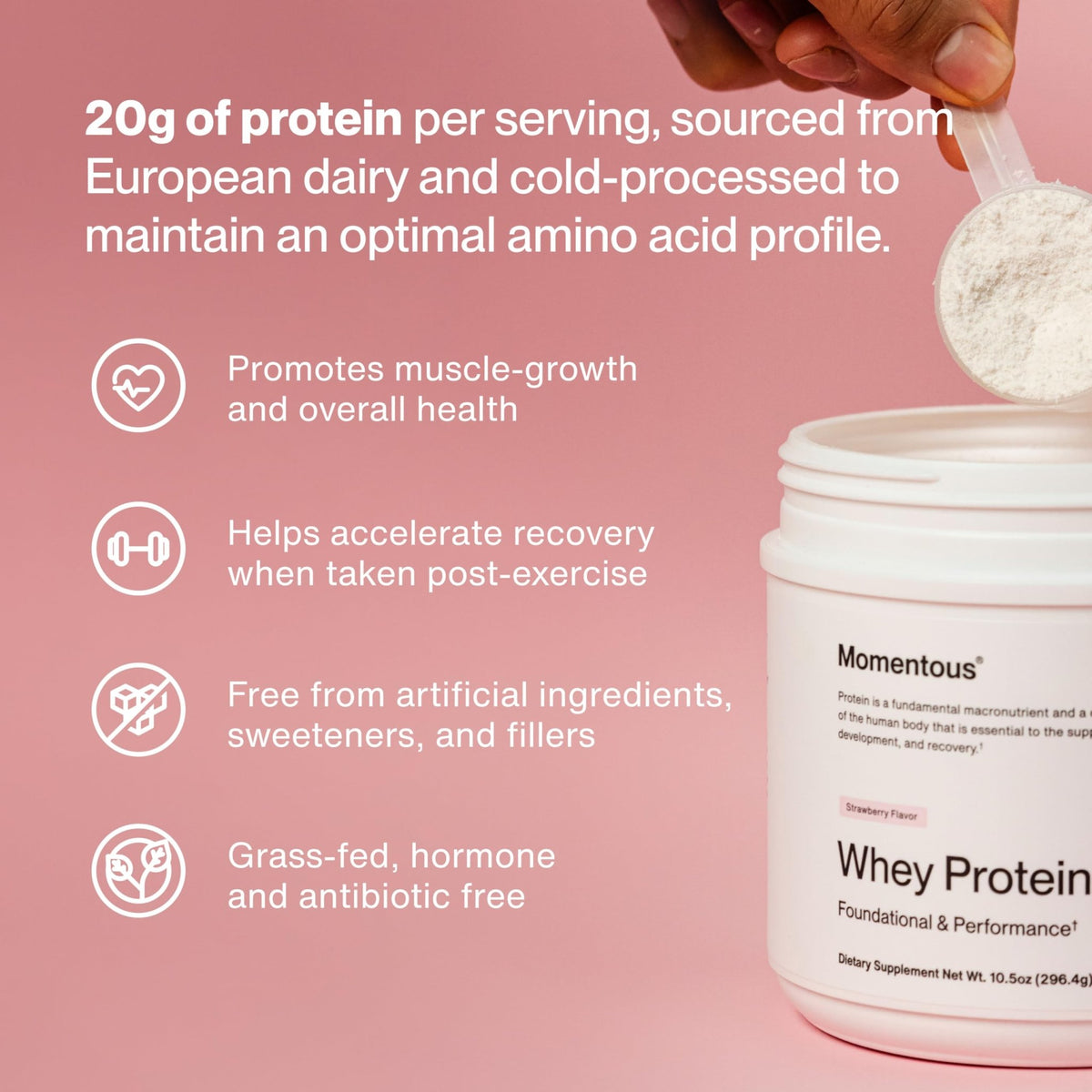 Momentous Essential Grass-Fed Whey Protein Powder - 20 g Whey Isolate Protein - NSF Certified for Sport - Gluten-Free - 12 Servings for Essential Everyday Use - FENGGESTORE20