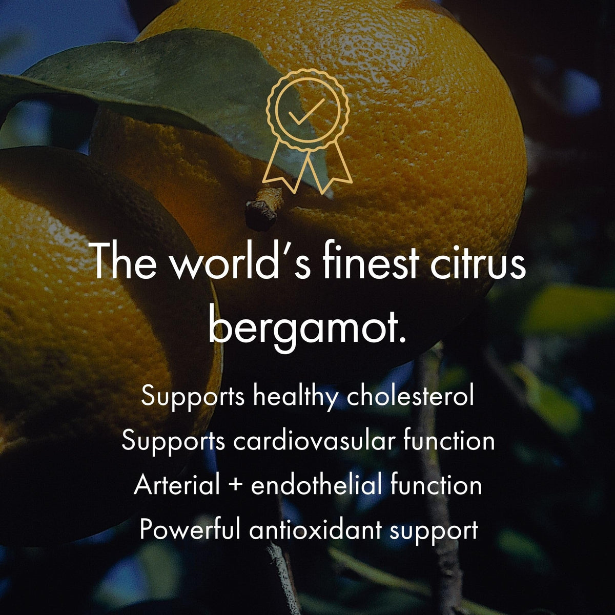 NAOMI Italian Citrus Bergamot 500mg + Resveratrol, Award-Winning Cardiologist Dvlpd, Supports Normal Cholesterol & Healthy Cellular Function, 7 Key Polyphenols - FENGGESTORE20