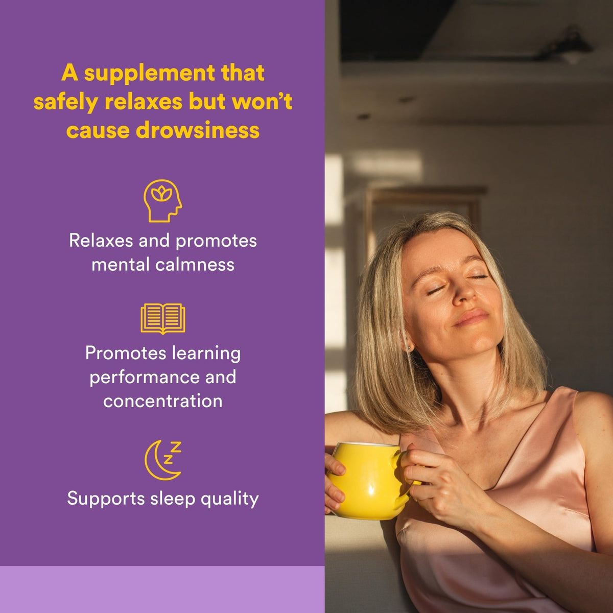Natural Factors Suntheanine L-Theanine 100 mg - Health Supplement for Calm Outlook - L-Theanine Supplement Supports Relaxing Sleep & Aids Against Drowsiness - FENGGESTORE20