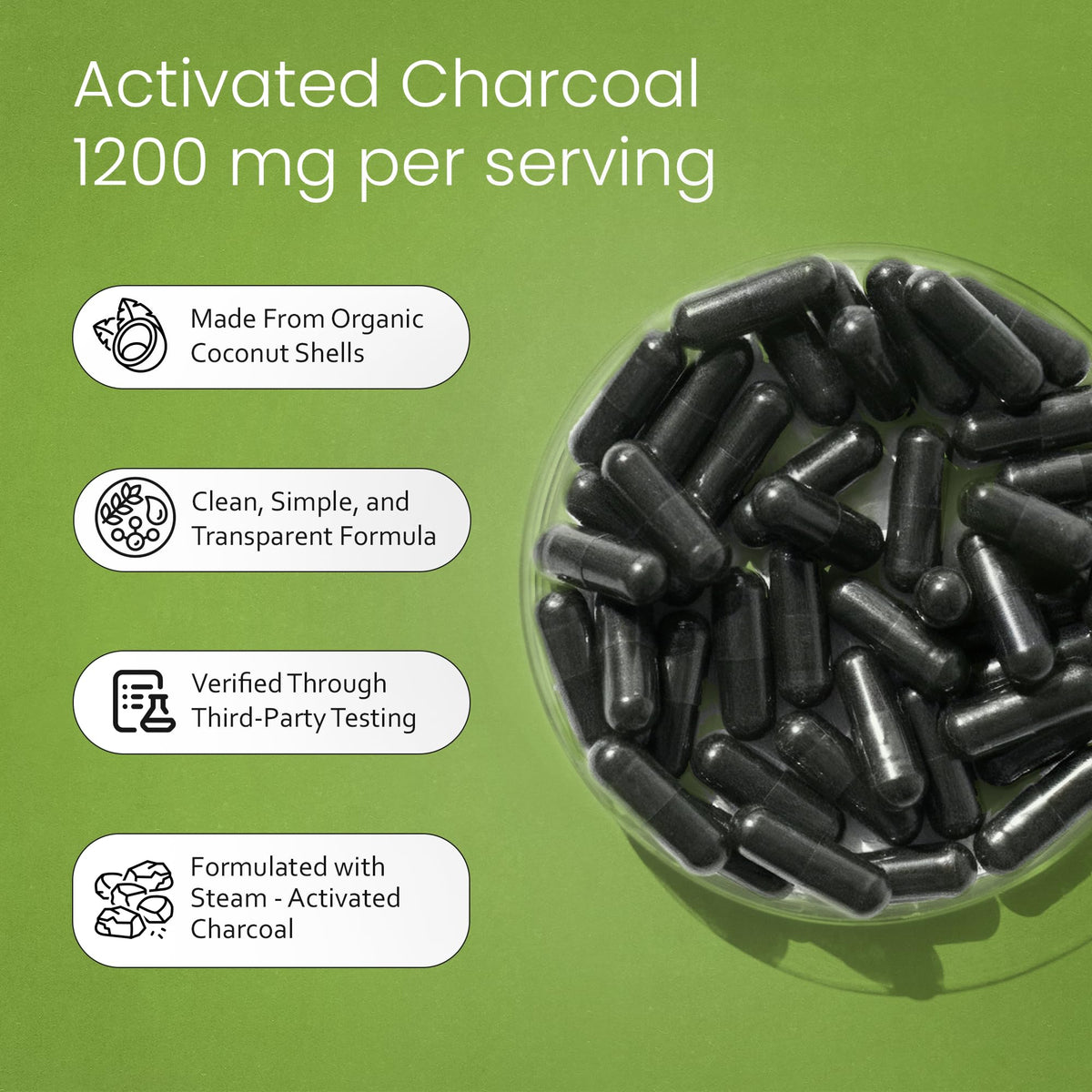 NaturaLife Labs Activated Charcoal 1200 mg per Serving – from Coconut Shells – 100 Veg Capsules – Non-GMO, Gluten-Free, Vegan - FENGGESTORE20