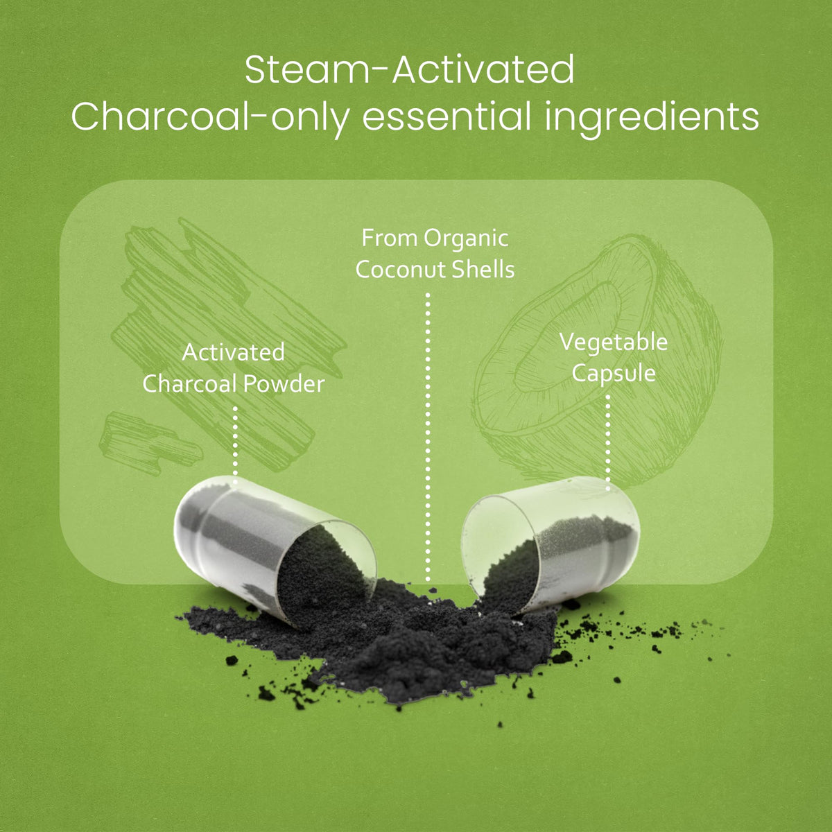NaturaLife Labs Activated Charcoal 1200 mg per Serving – from Coconut Shells – 100 Veg Capsules – Non-GMO, Gluten-Free, Vegan - FENGGESTORE20