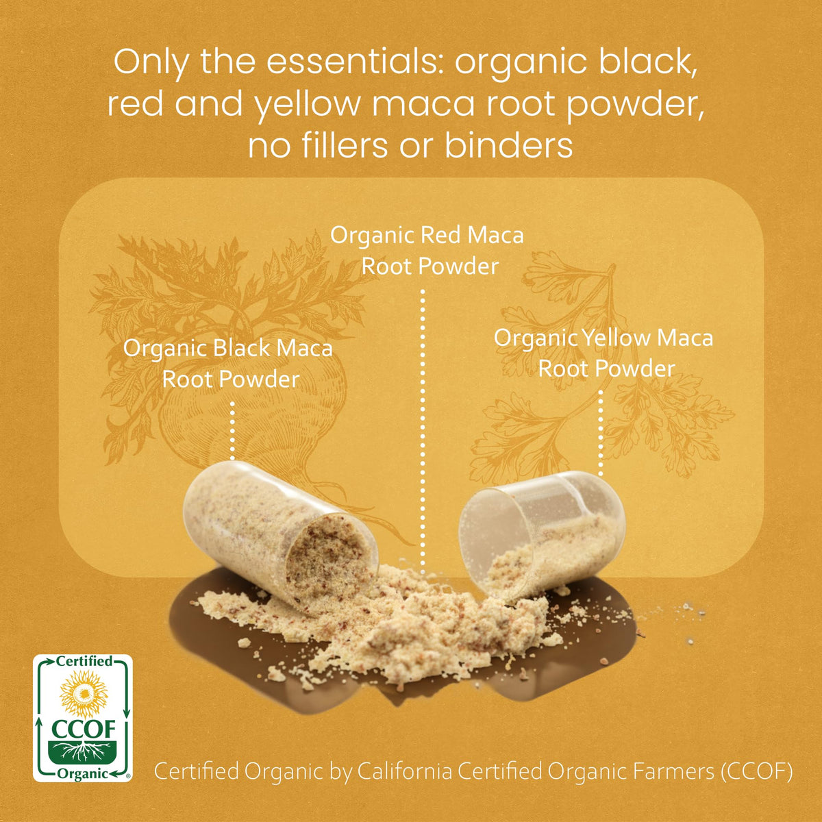 NaturaLife Labs Organic Maca Root – Black, Red & Yellow – 1900 mg per Serving – 150 Capsules – Gelatinized Peruvian Maca - FENGGESTORE20