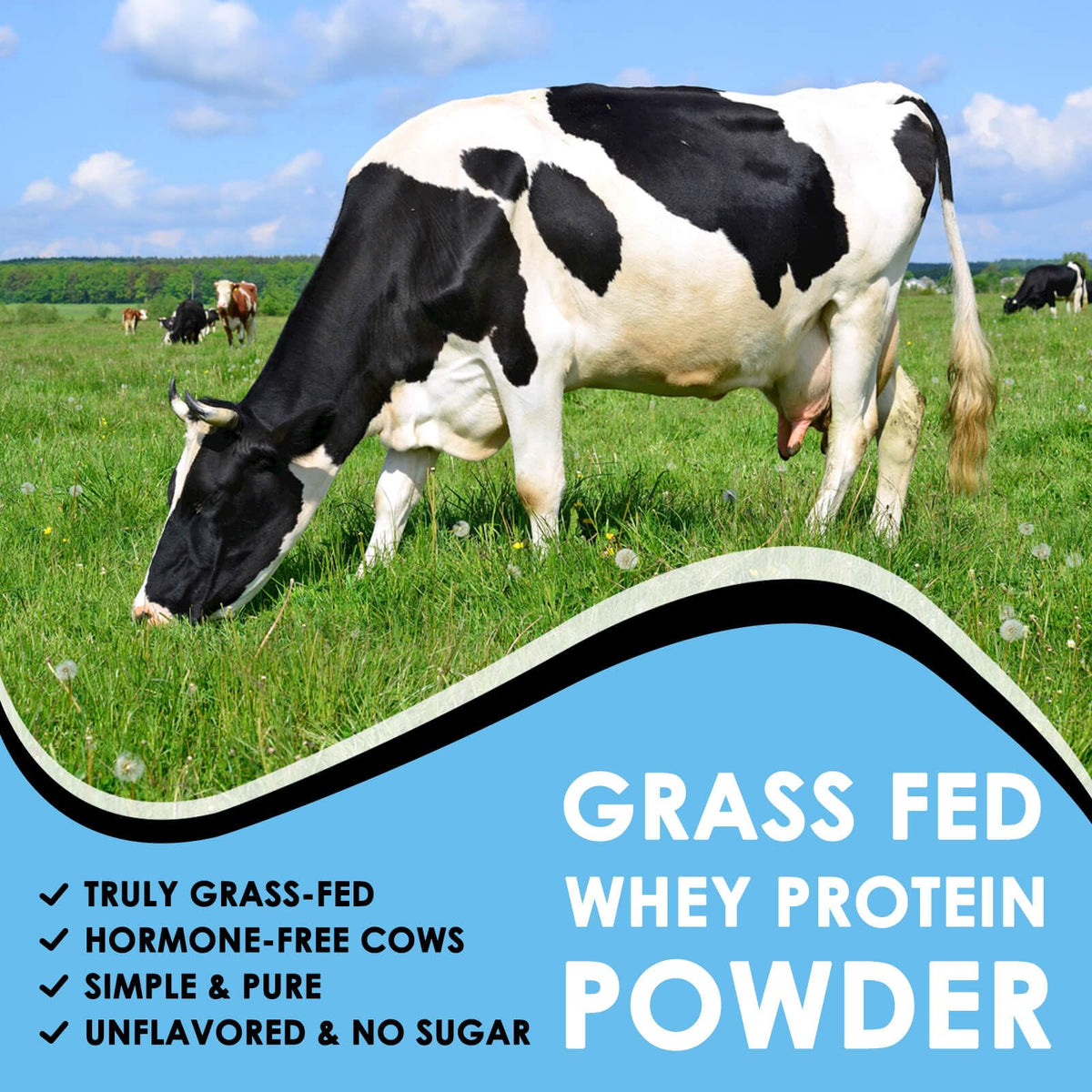 NATURE TARGET Unflavored Whey Protein Isolate - 26g Protein, 0g Sugar, Keto Friendly - No rBGH, Grass Fed - Perfect for Coffee, Baking & Smoothies - 1.10 LB (16 Servings) - FENGGESTORE20