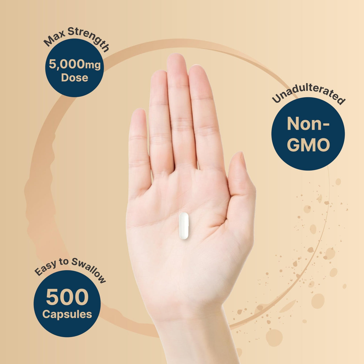NatureBell Creatine Monohydrate Capsules 5,000mg Per Serving, 500 Count | Micronized, Unflavored Creatine Pills | Pre-Workout & Muscle Strength Support - FENGGESTORE20