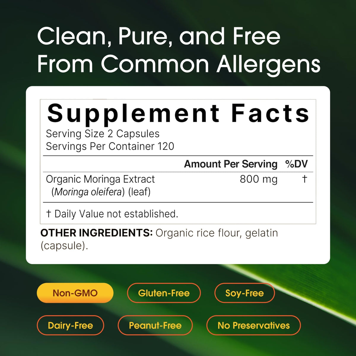 NatureBell Moringa - 240 Capsules - Organic Moringa for Immune, Energy & Skin Health Support - Green Superfood Properties - FENGGESTORE20