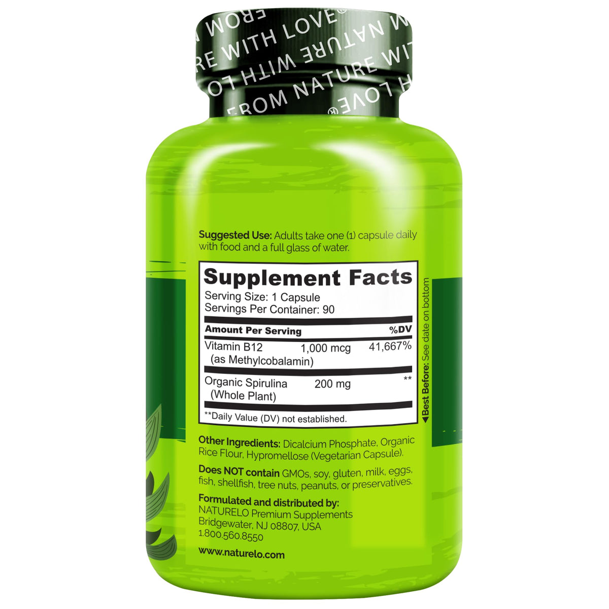 NATURELO Vegan B12 - Methyl B12 with Organic Spirulina - High Potency Vitamin B12 1000 mcg Methylcobalamin - Supports Healthy Mood - FENGGESTORE20