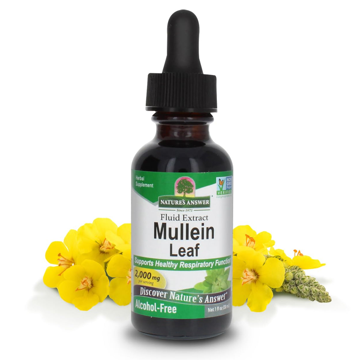 Nature's Answer Mullein Herb - Mullein Leaf Extract for Lungs - Alcohol Free, Non GMO, Made in USA - Supports Respiratory Function & Promotes Healthy Lungs - FENGGESTORE20