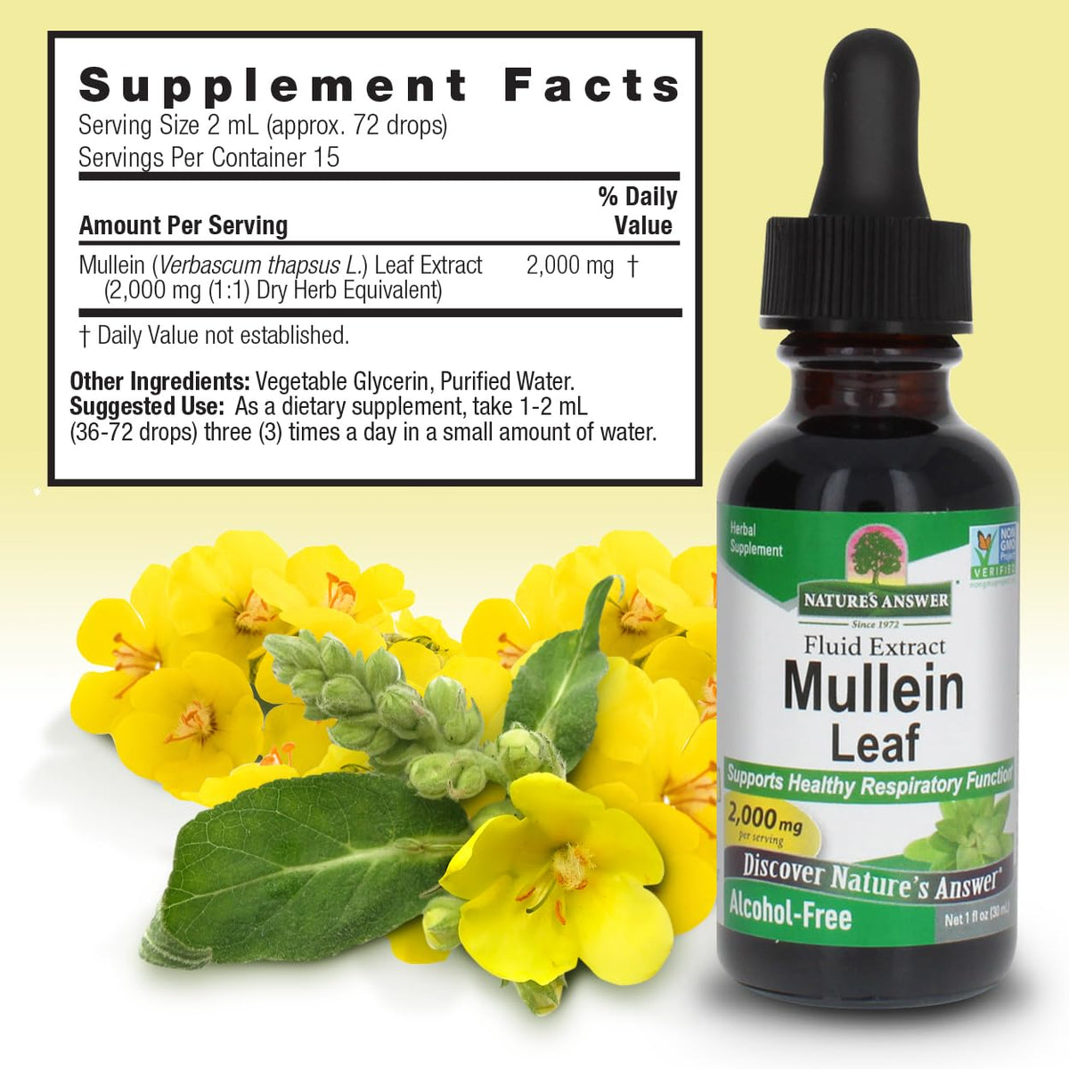 Nature's Answer Mullein Herb - Mullein Leaf Extract for Lungs - Alcohol Free, Non GMO, Made in USA - Supports Respiratory Function & Promotes Healthy Lungs - FENGGESTORE20