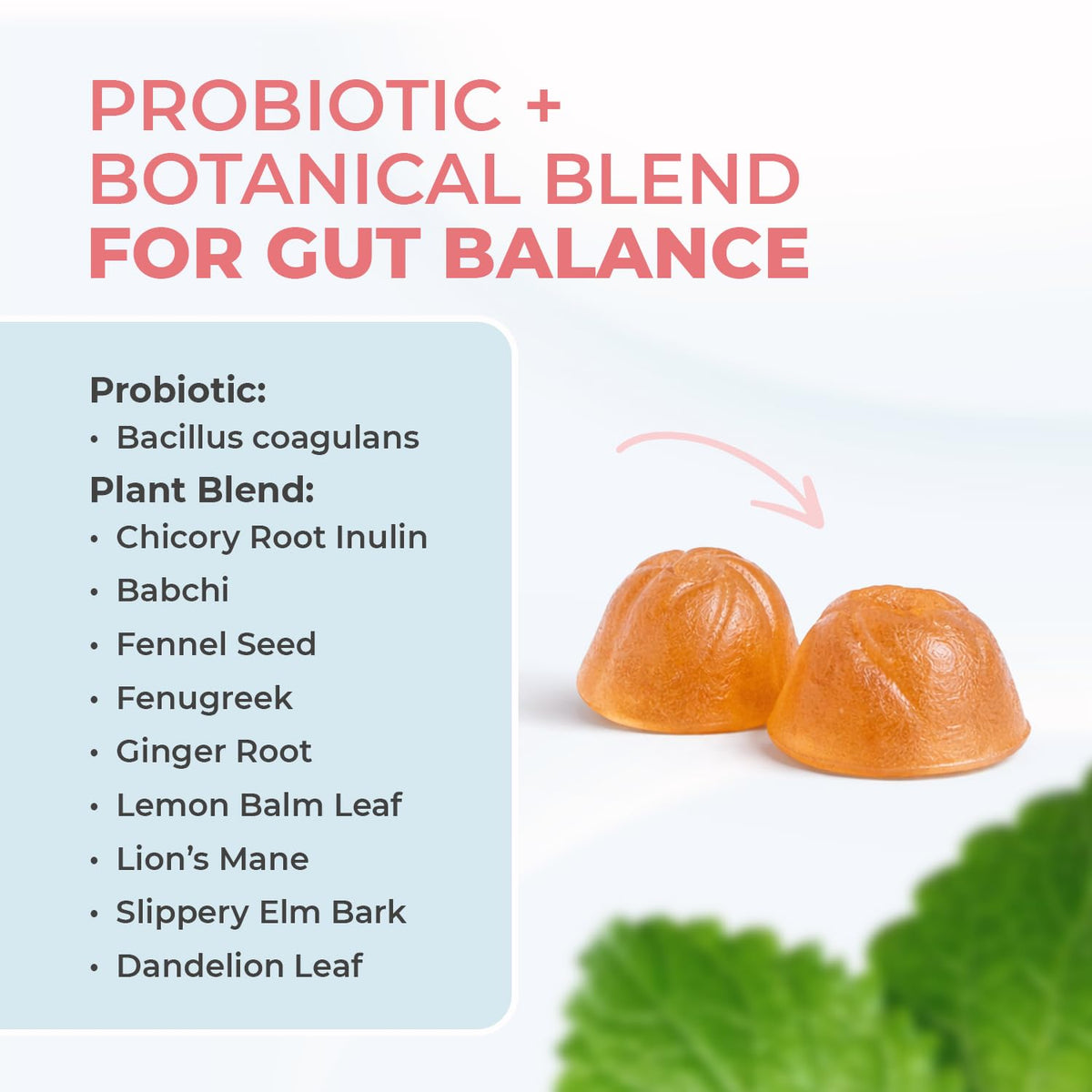 Nature’s NutriWave PrimeBiome Probiotic Gummies – Plant-Based Blend with Inulin, Lion’s Mane, Ginger & More– Non-GMO, No Stimulants, GMP Certified – 30 Gummies, 3 Month Supply - FENGGESTORE20