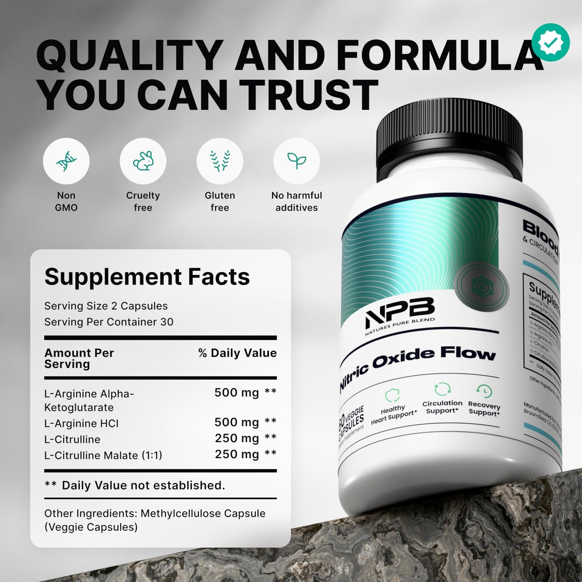 Nature's Pure Blend Nitric Oxide Supplements for Men – L-Arginine L-Citrulline – Heart Support & Flow Circulation Booster – 1500MG L Arginine and L Citrulline, Preworkout, Bodybuilding - FENGGESTORE20