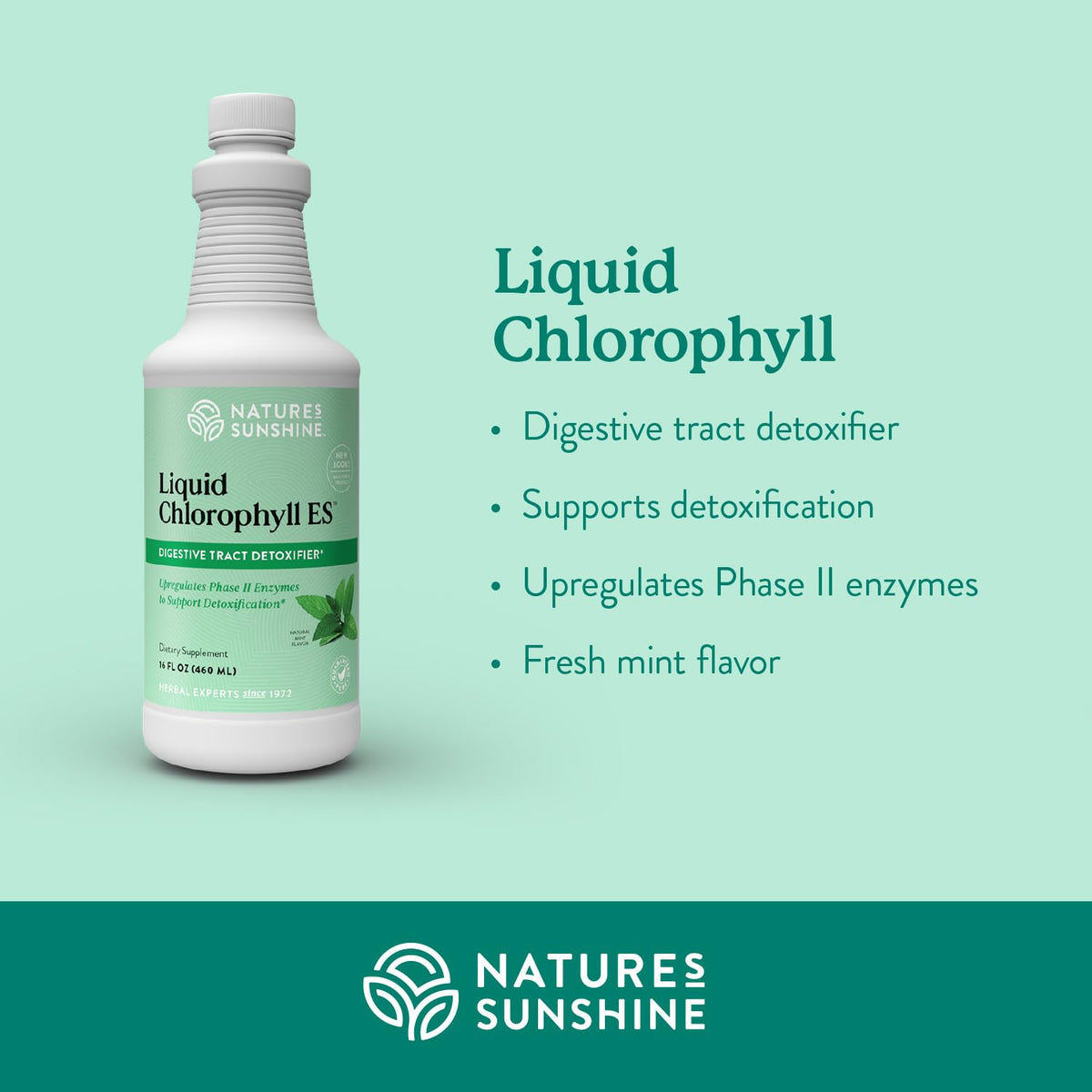 Nature's Sunshine Liquid Chlorophyll Extra Strength - Immunity Support, Detox & Cleanse, Chlorophyll Liquid Drops with Spearmint Oil, - FENGGESTORE20