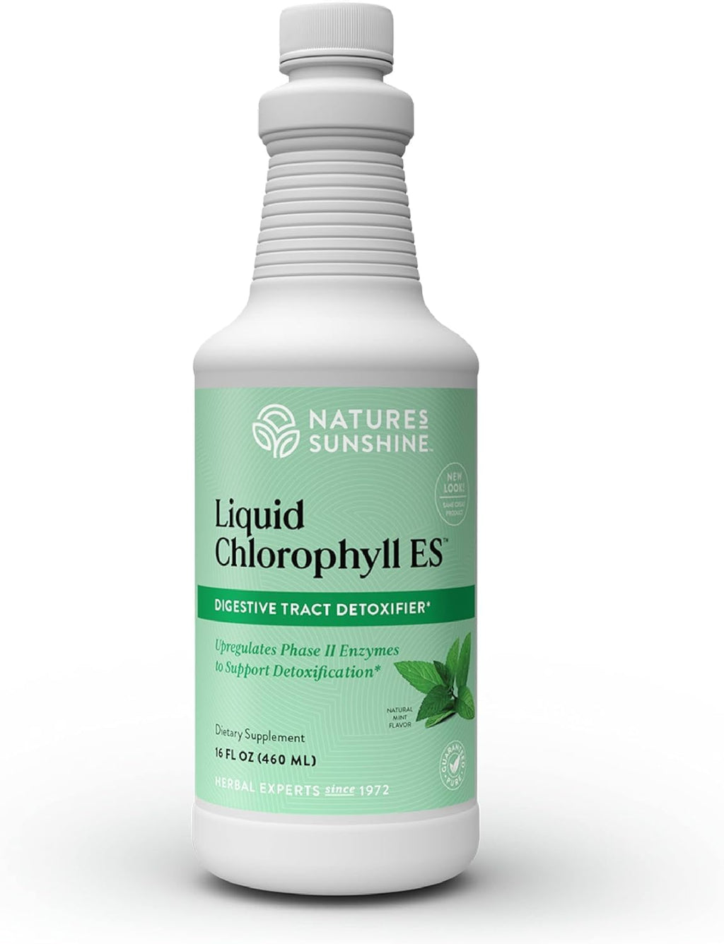 Nature's Sunshine Liquid Chlorophyll Extra Strength - Immunity Support, Detox & Cleanse, Chlorophyll Liquid Drops with Spearmint Oil, - FENGGESTORE20