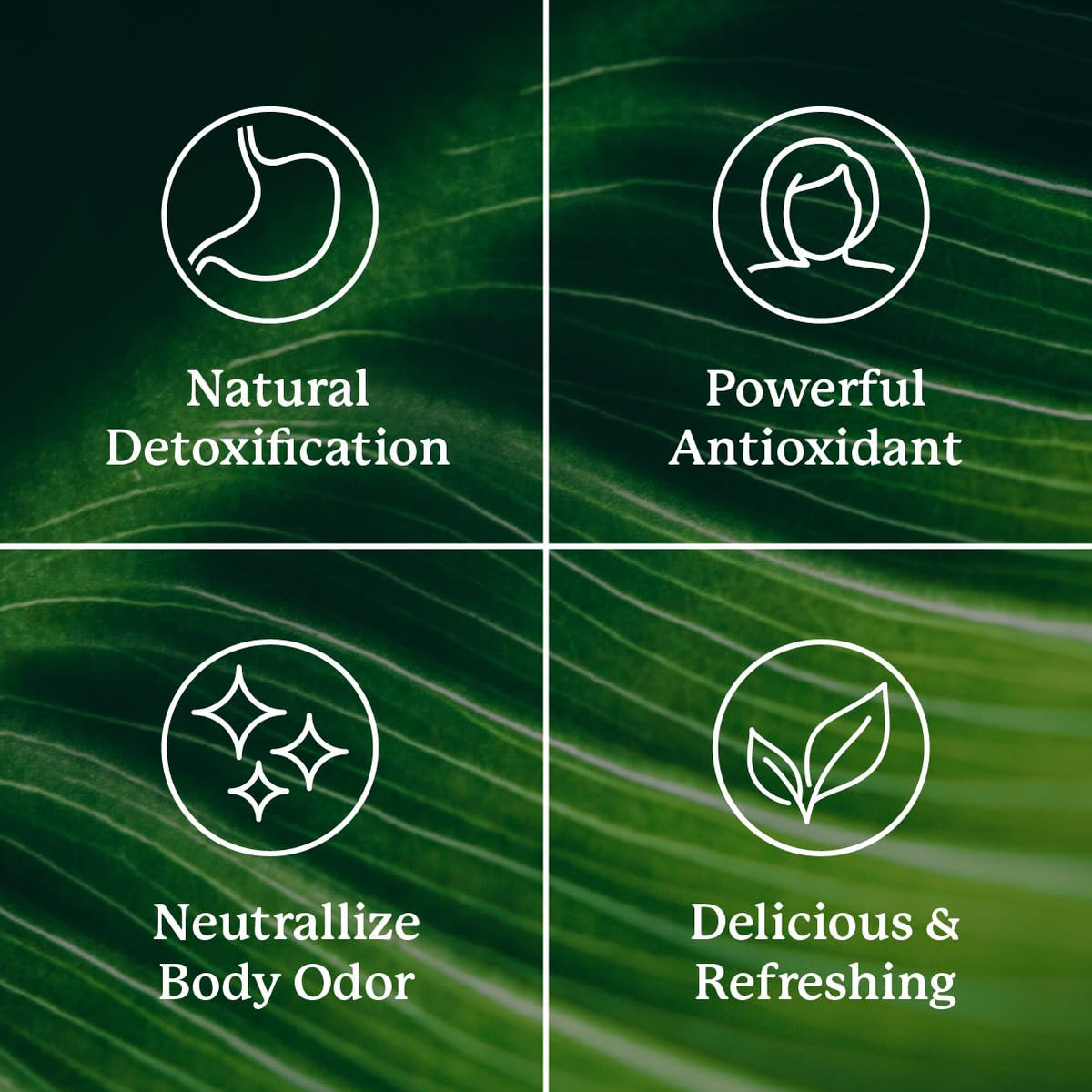 Nature's Sunshine Liquid Chlorophyll Extra Strength - Immunity Support, Detox & Cleanse, Chlorophyll Liquid Drops with Spearmint Oil, - FENGGESTORE20
