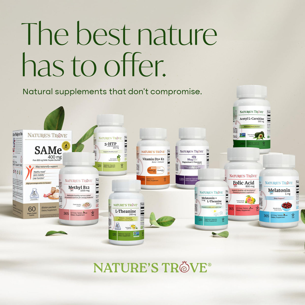 Nature's Trove L-Theanine 200mg Super Value Size - 365 Vegetarian Capsules - FENGGESTORE20
