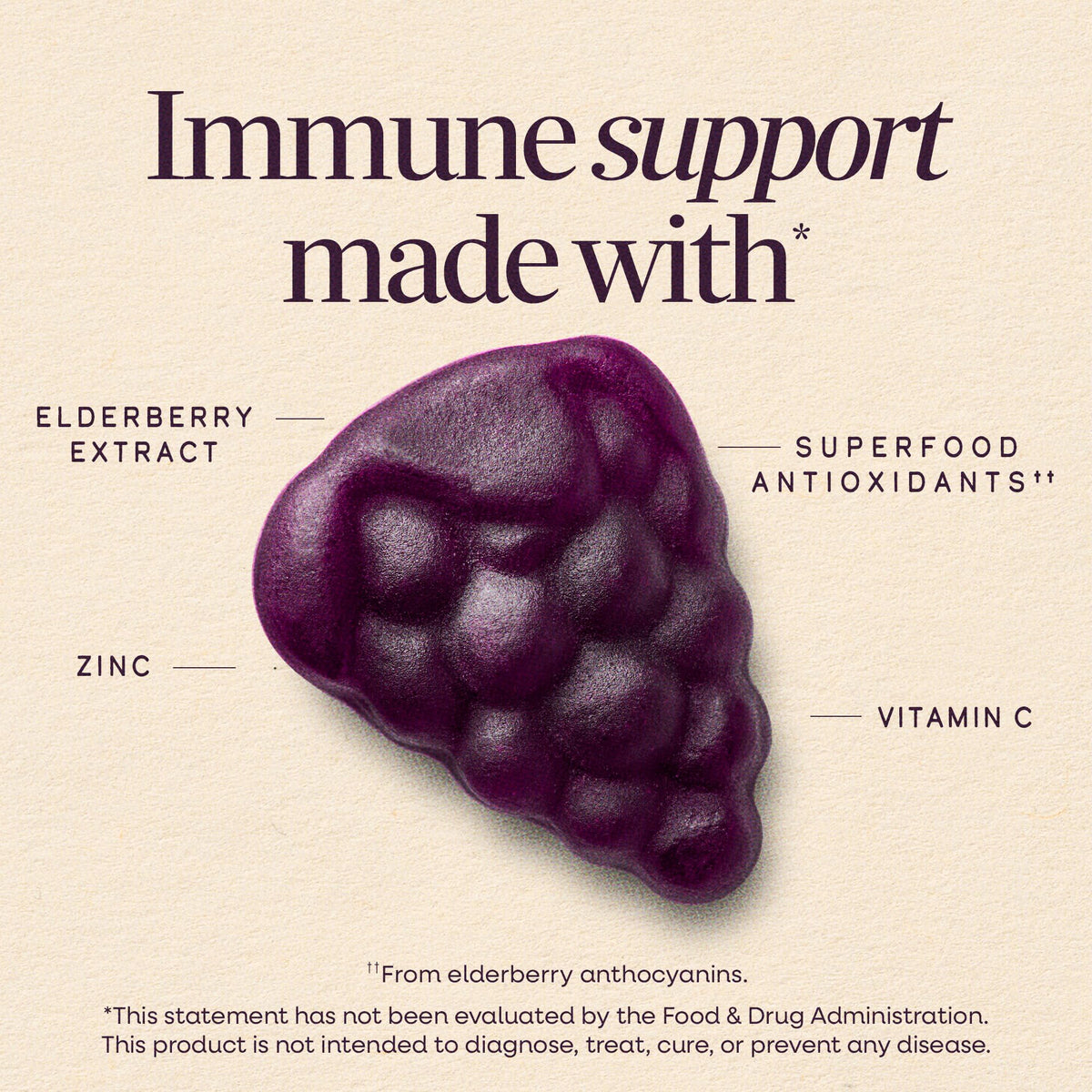 Nature’s Way Sambucus Kids Elderberry Immune Gummies with Black Elderberry Extract, Daily Immune Support Gummy with Vitamin C and Zinc - FENGGESTORE20