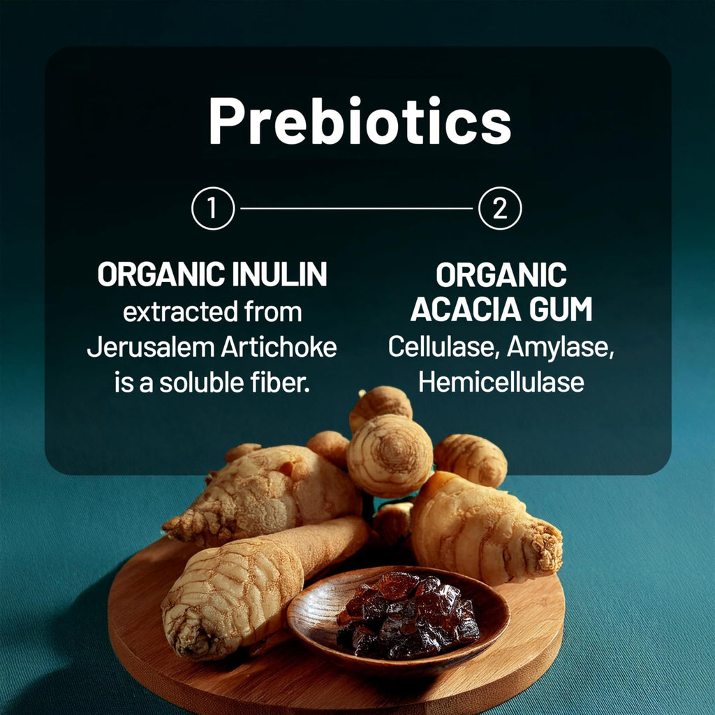 NatureWise Probiotics 60 Billion CFU - 17 Strains + Organic Prebiotics - Immune, Digestive & Gut Health Support for Women & Men - Vegetarian, Gluten-Free, - FENGGESTORE20