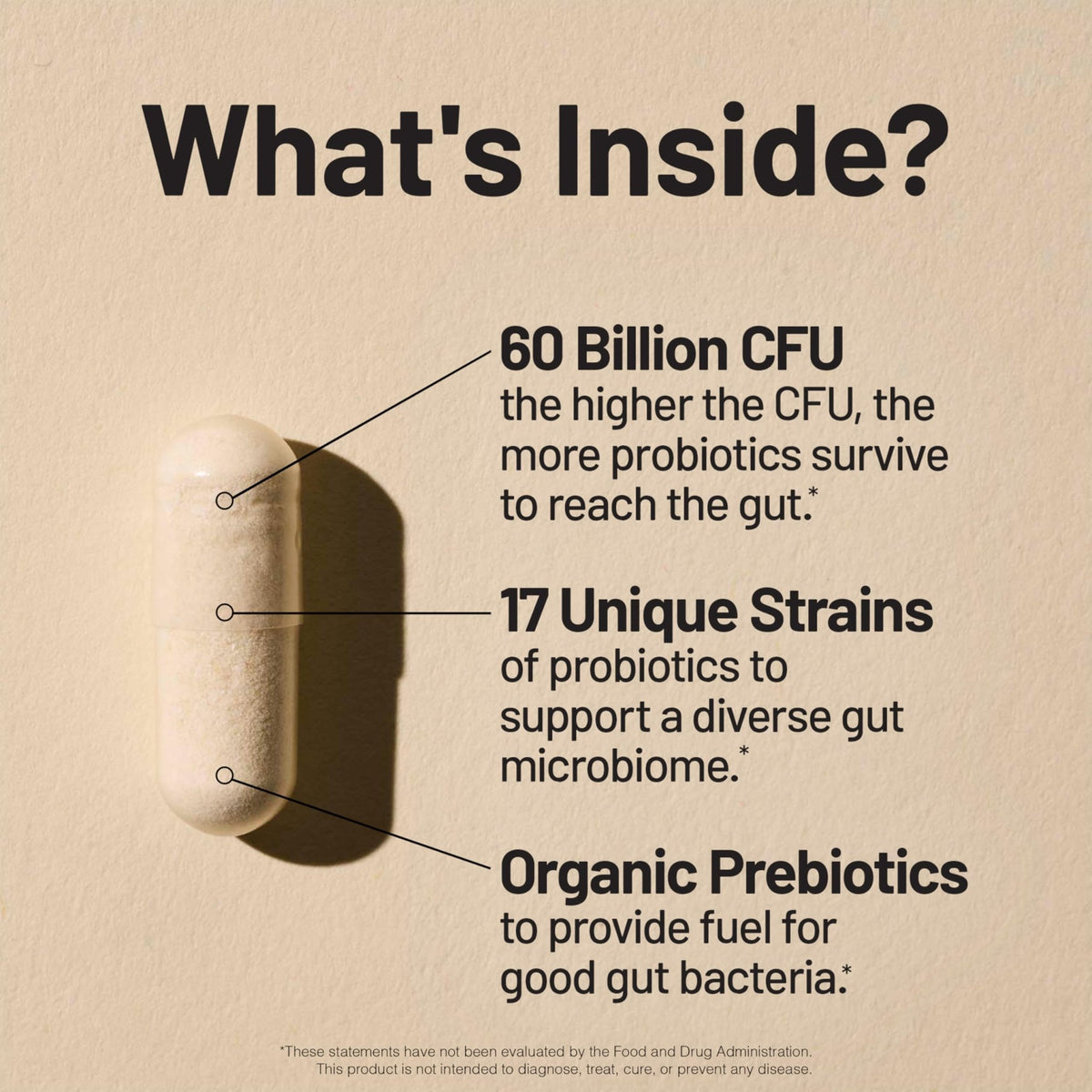 NatureWise Probiotics 60 Billion CFU - 17 Strains + Organic Prebiotics - Immune, Digestive & Gut Health Support for Women & Men - Vegetarian, Gluten-Free, - FENGGESTORE20