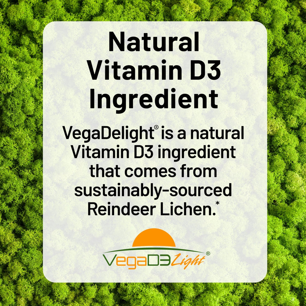 NatureWise Vegan Vitamin D3 + K2 - Natural D3 5000IU + Natural Vitamin K2 100mcg - Bone Support - High Absorption - FENGGESTORE20