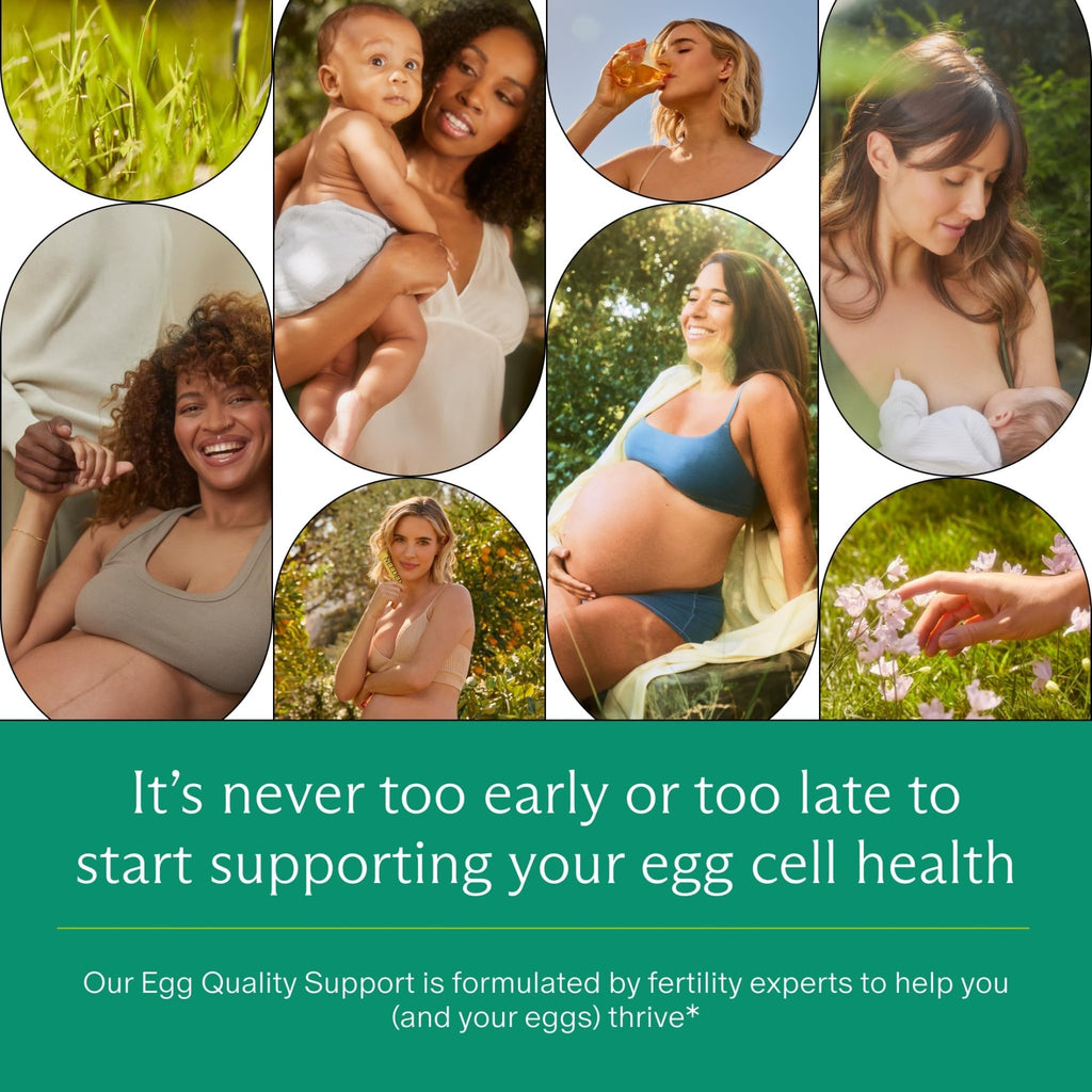 Needed. Egg Quality Support - Optimally Formulated Antioxidants Supplement for Egg Quality - Fertility Support - Fertility Supplement for Women - FENGGESTORE20