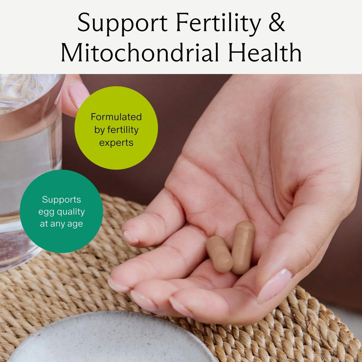 Needed. Egg Quality Support - Optimally Formulated Antioxidants Supplement for Egg Quality - Fertility Support - Fertility Supplement for Women - FENGGESTORE20