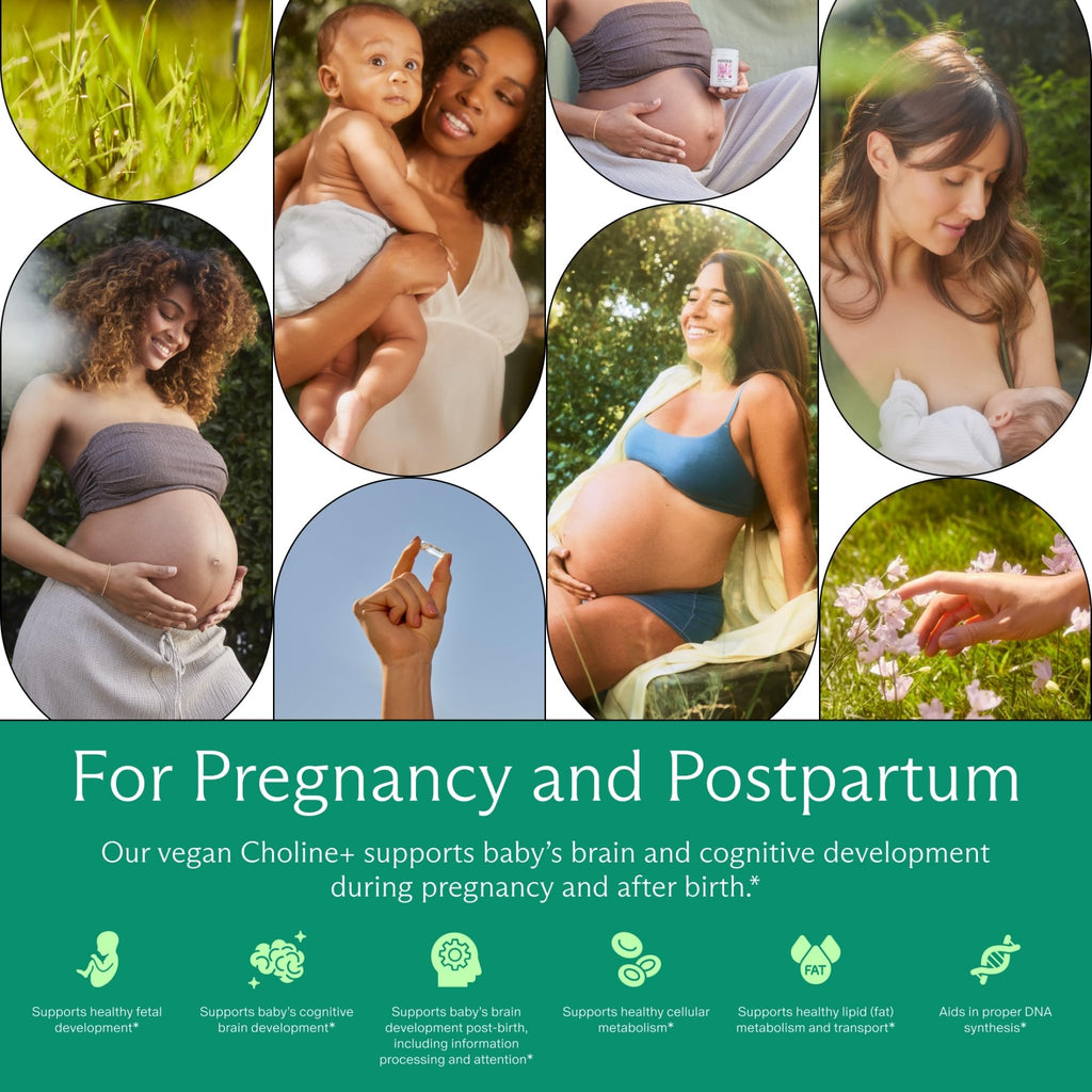 Needed. Prenatal Choline+ Liquid Capsules for Cognitive Development - Choline Supplements For Pregnancy - Aids Baby Brain Development & Supports Healthy Pregnancy - FENGGESTORE20