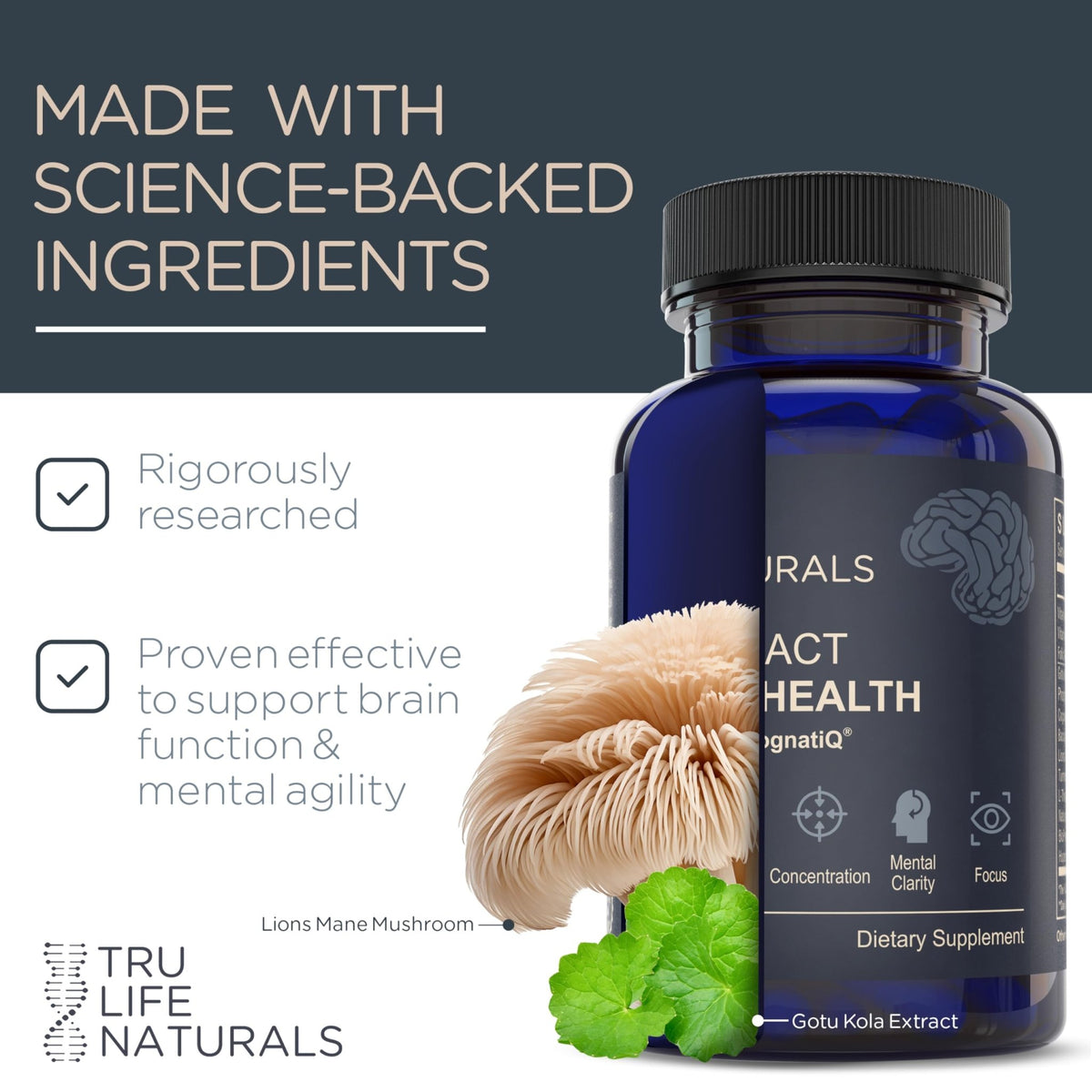 NEUROACT Brain Health Memory, Focus, Concentration, Mental Clarity with CognatiQ, Vitamin B3 & B6 | Manage Stress & Elevate Mood | Holistic Brain Health Formula, Sustained Energy & Well Being - FENGGESTORE20