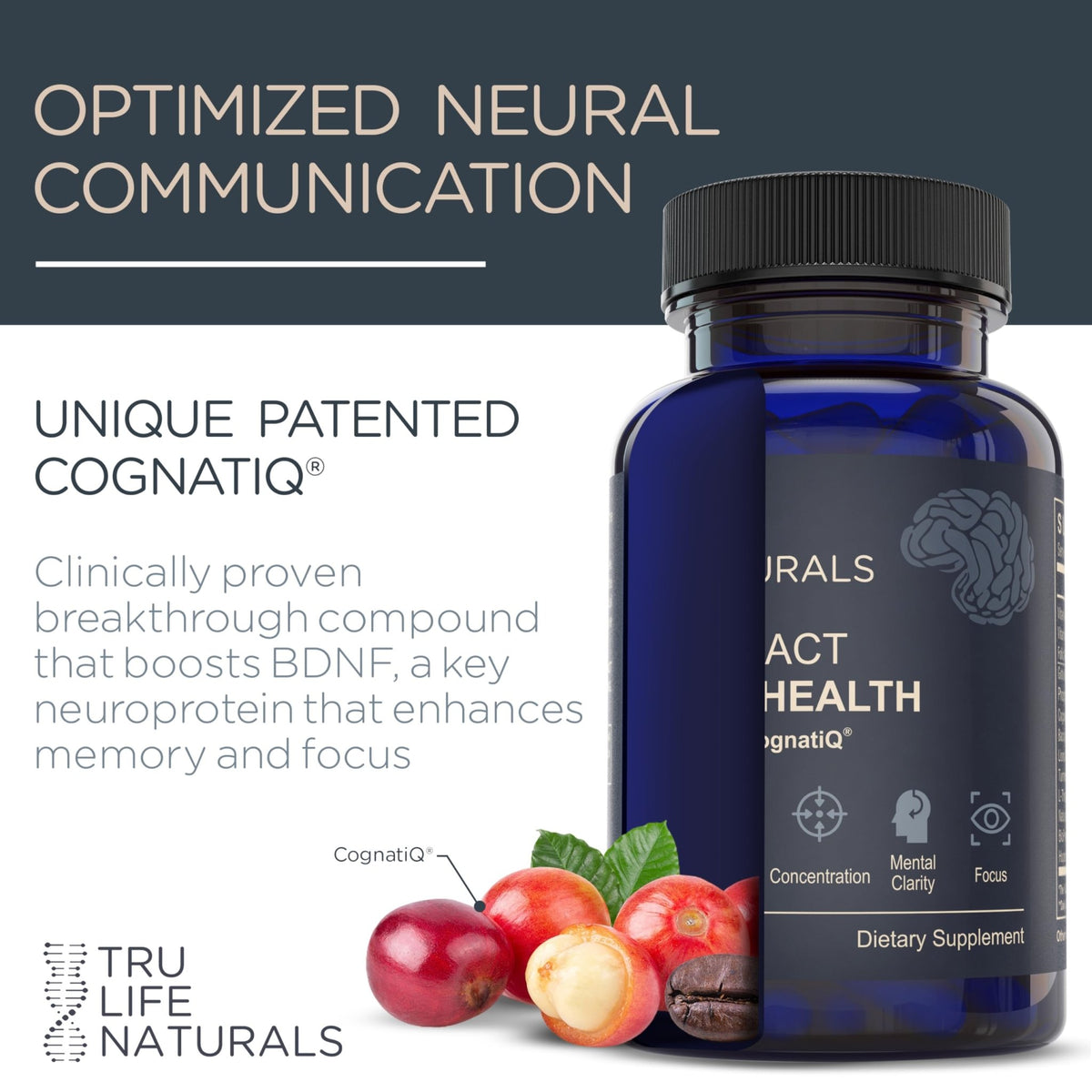 NEUROACT Brain Health Memory, Focus, Concentration, Mental Clarity with CognatiQ, Vitamin B3 & B6 | Manage Stress & Elevate Mood | Holistic Brain Health Formula, Sustained Energy & Well Being - FENGGESTORE20
