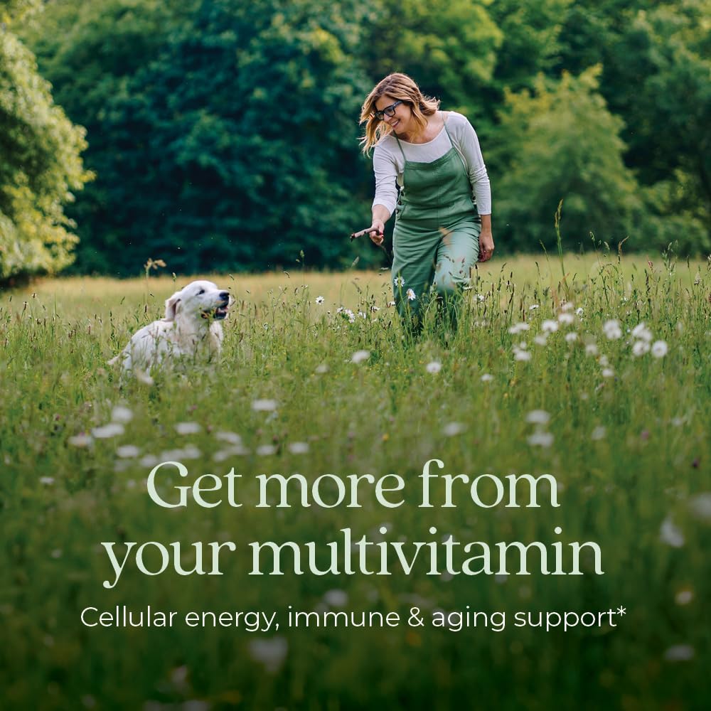 New Chapter Women’s Multivitamin 40+, extra B6 & B12, Biotin for Hair Growth, D3, Vit C, Zinc for Immune & Stress Support, Gentle on an Empty Stomach - FENGGESTORE20