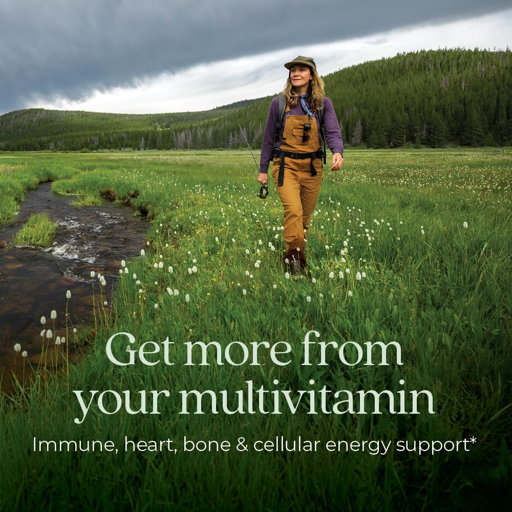 New Chapter Women’s Multivitamin 55+, Astaxanthin, B6, B12, D3, Vitamin C & Zinc, Immune, Heart, Cellular Energy, and Bone Support, Gentle on The Stomach - FENGGESTORE20