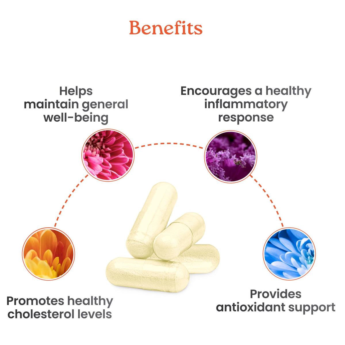 NewLife Naturals Citrus Bergamot Supplements 500 MG - Heart Health - Supplement for Wellness and Aging Support - FENGGESTORE20