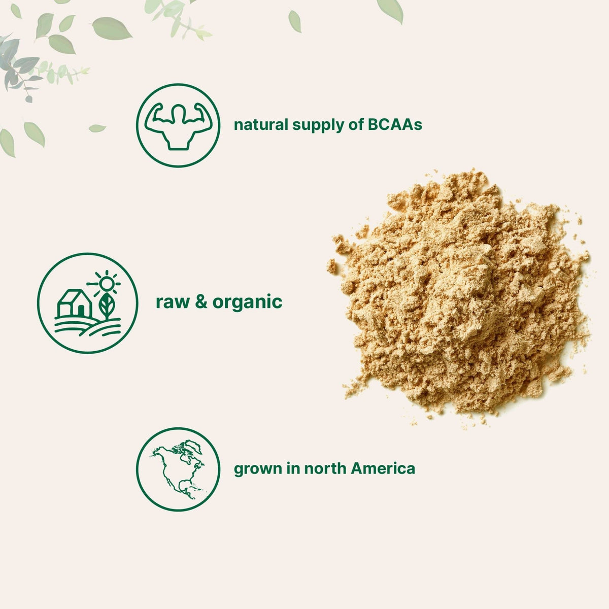 North America Grown, Organic Pea Protein Powder, 1KG (2.2 Pounds) | Plant-Based Vegan Protein, Meatless Protein Supplement, Natural Branched Chain Amino Acids | Non-GMO, Soy Free - FENGGESTORE20