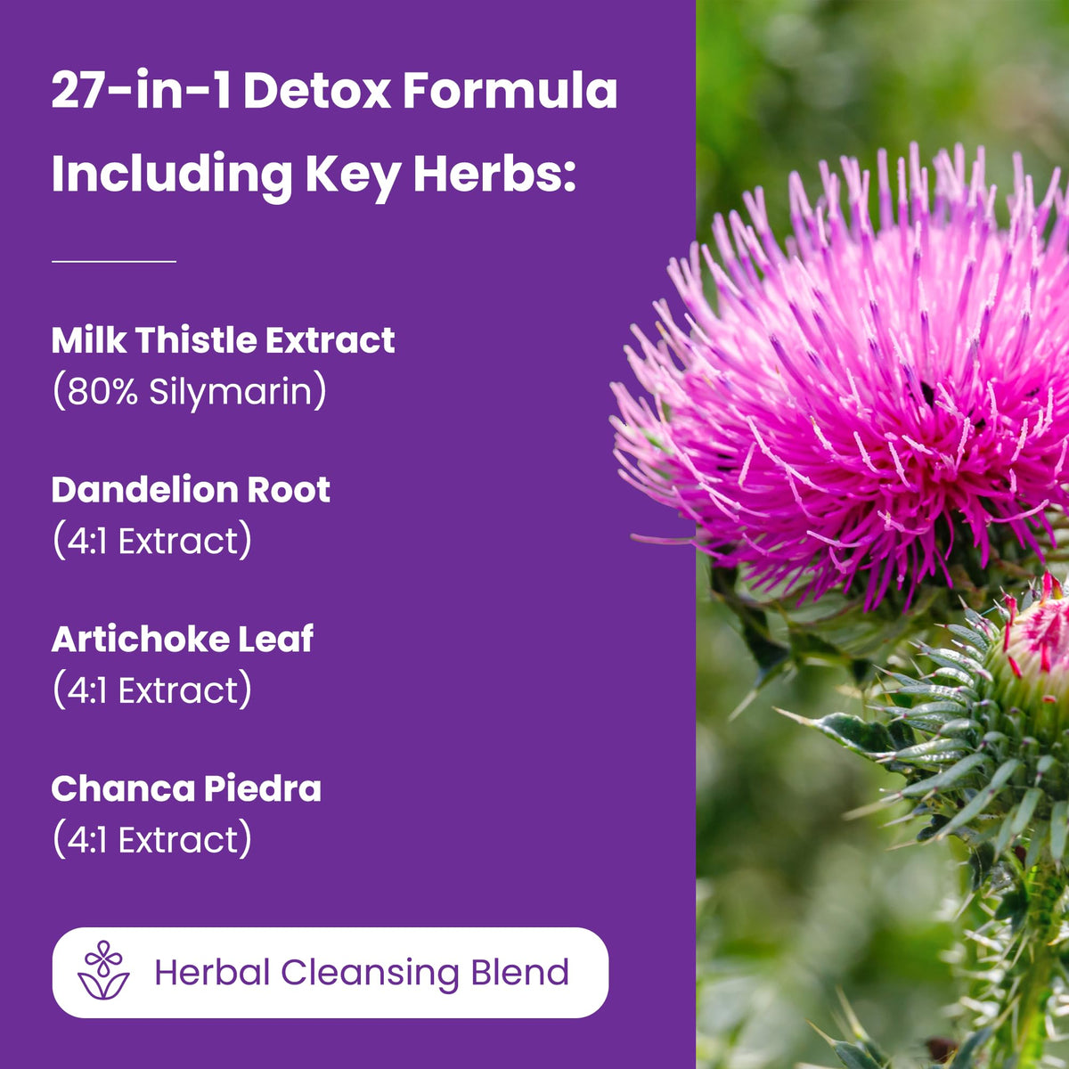 NutraChamps Liver Cleanse Detox & Repair Formula, 20+ Herbs: Milk Thistle Extract with Silymarin, Artichoke, Dandelion, Chicory Root Powder, - FENGGESTORE20