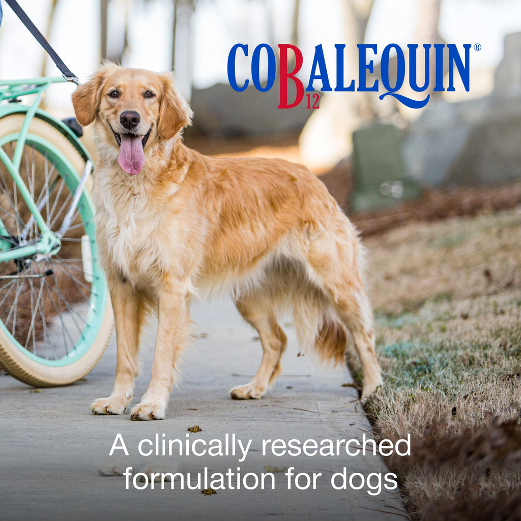 Nutramax Cobalequin B12 for Dogs, Oral Cobalamin Supplement with Folate, Vitamin B12 for Dogs Over 22 lbs., Supports GI Health, Chewable Tablets, 45 Count - FENGGESTORE20