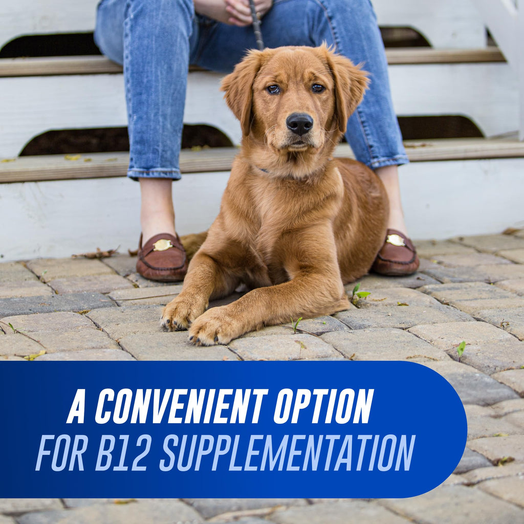 Nutramax Cobalequin B12 for Dogs, Oral Cobalamin Supplement with Folate, Vitamin B12 for Dogs Over 22 lbs., Supports GI Health, Chewable Tablets, 45 Count - FENGGESTORE20