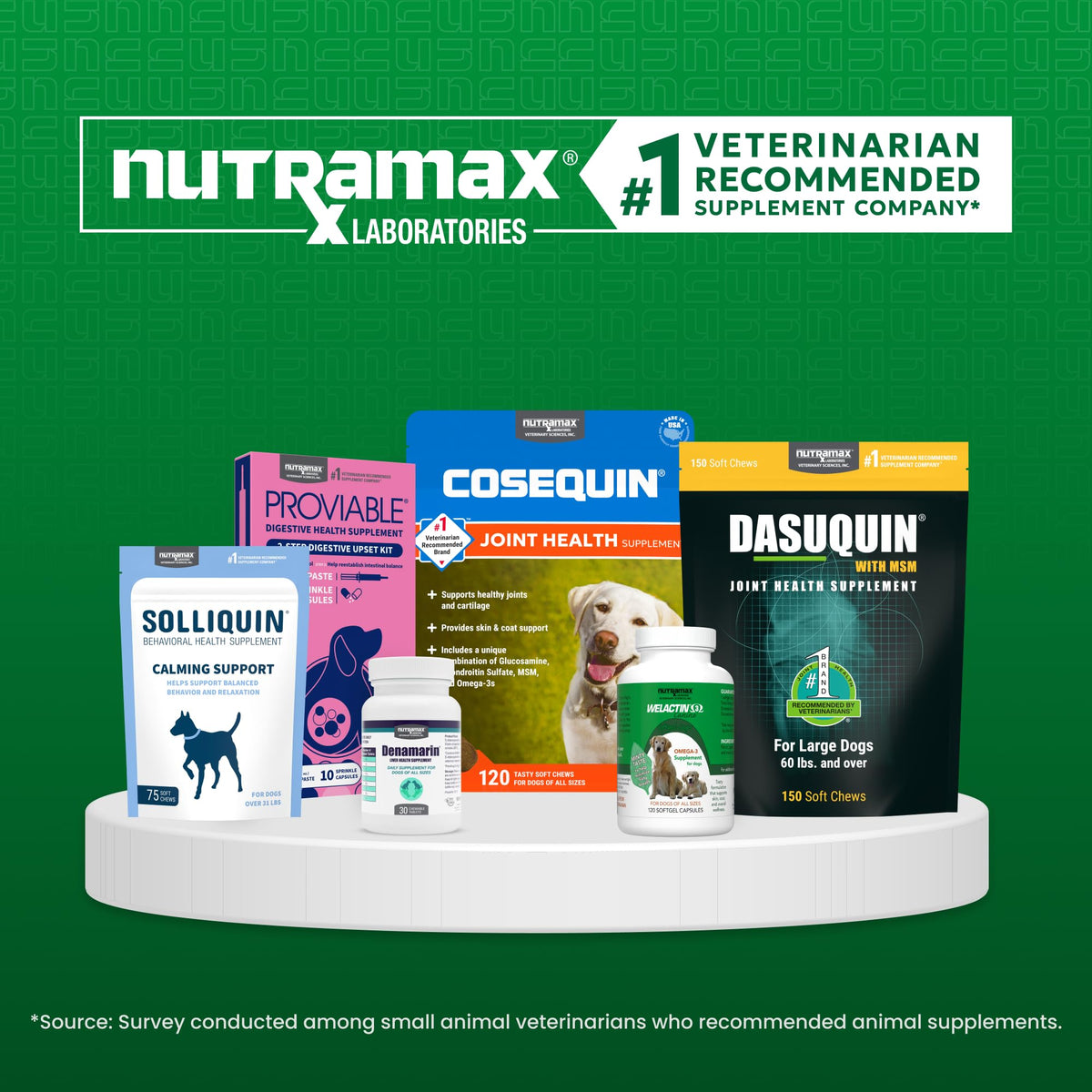Nutramax Cobalequin B12 for Dogs, Oral Cobalamin Supplement with Folate, Vitamin B12 for Dogs Over 22 lbs., Supports GI Health, Chewable Tablets, 45 Count - FENGGESTORE20