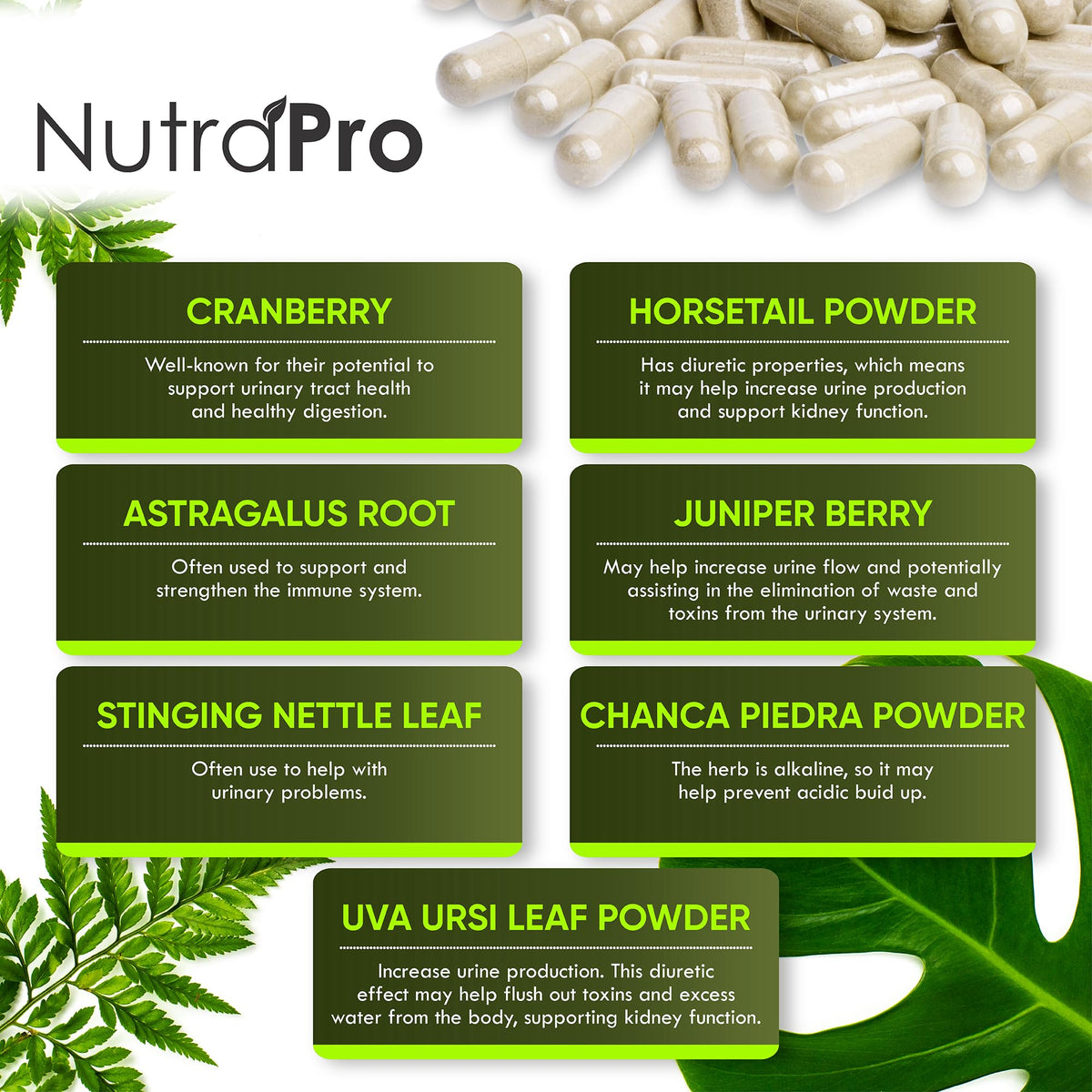 NutraPro Kidney Cleanse Detox & Repair and Bladder Support- Kidney Support Supplement for Kidney Restore with Chanca Piedra,Cranberry, Juniper Berries - FENGGESTORE20