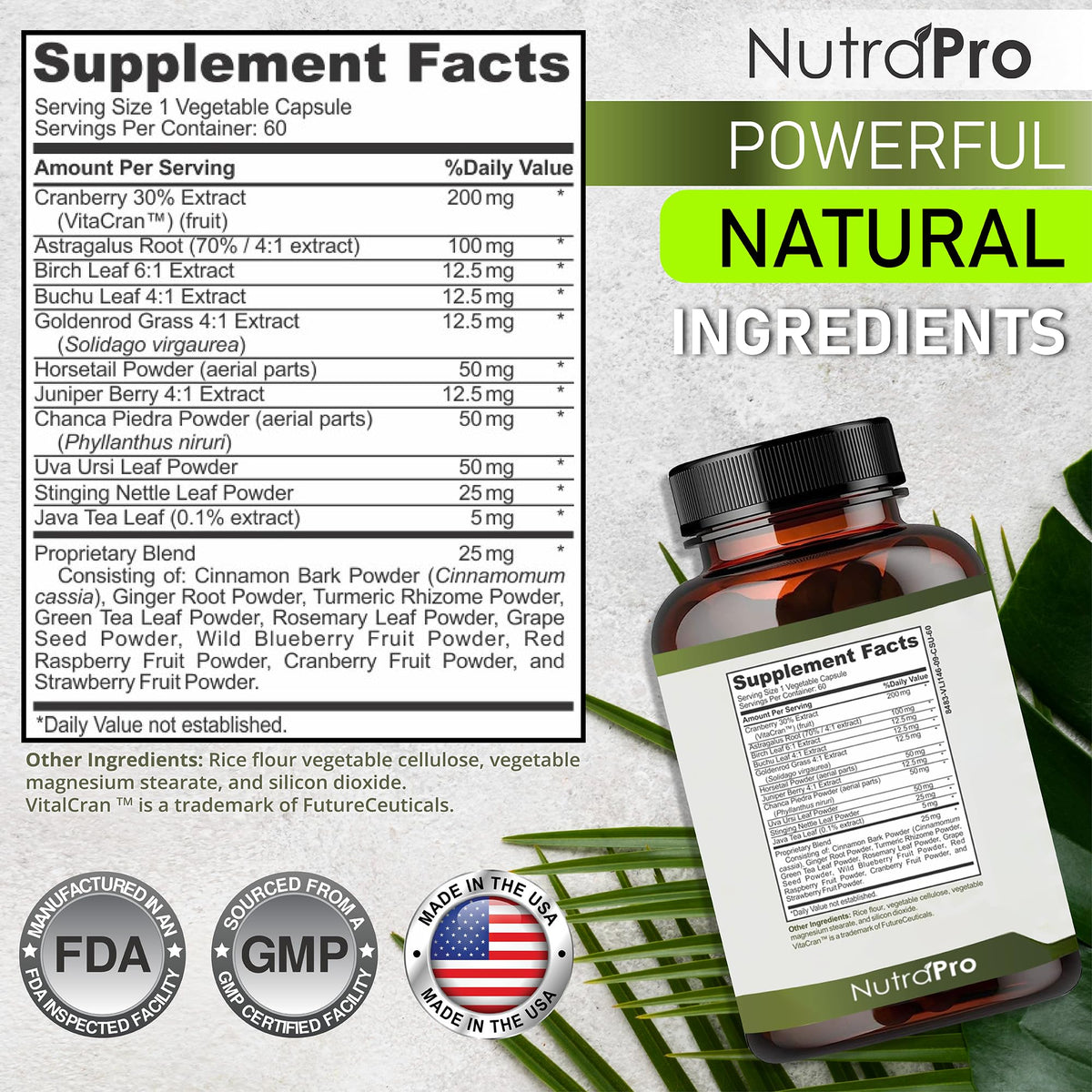 NutraPro Kidney Cleanse Detox & Repair and Bladder Support- Kidney Support Supplement for Kidney Restore with Chanca Piedra,Cranberry, Juniper Berries - FENGGESTORE20