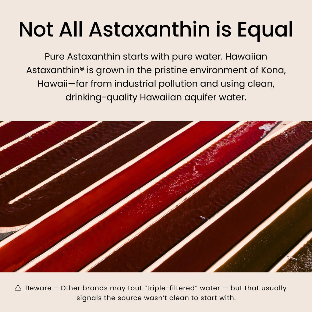 Nutrex Hawaii BioAstin Hawaiian Astaxanthin - 12mg, 90 Softgels - Farm-Direct Premium Antioxidant Supplement to Support Eye, Skin - FENGGESTORE20