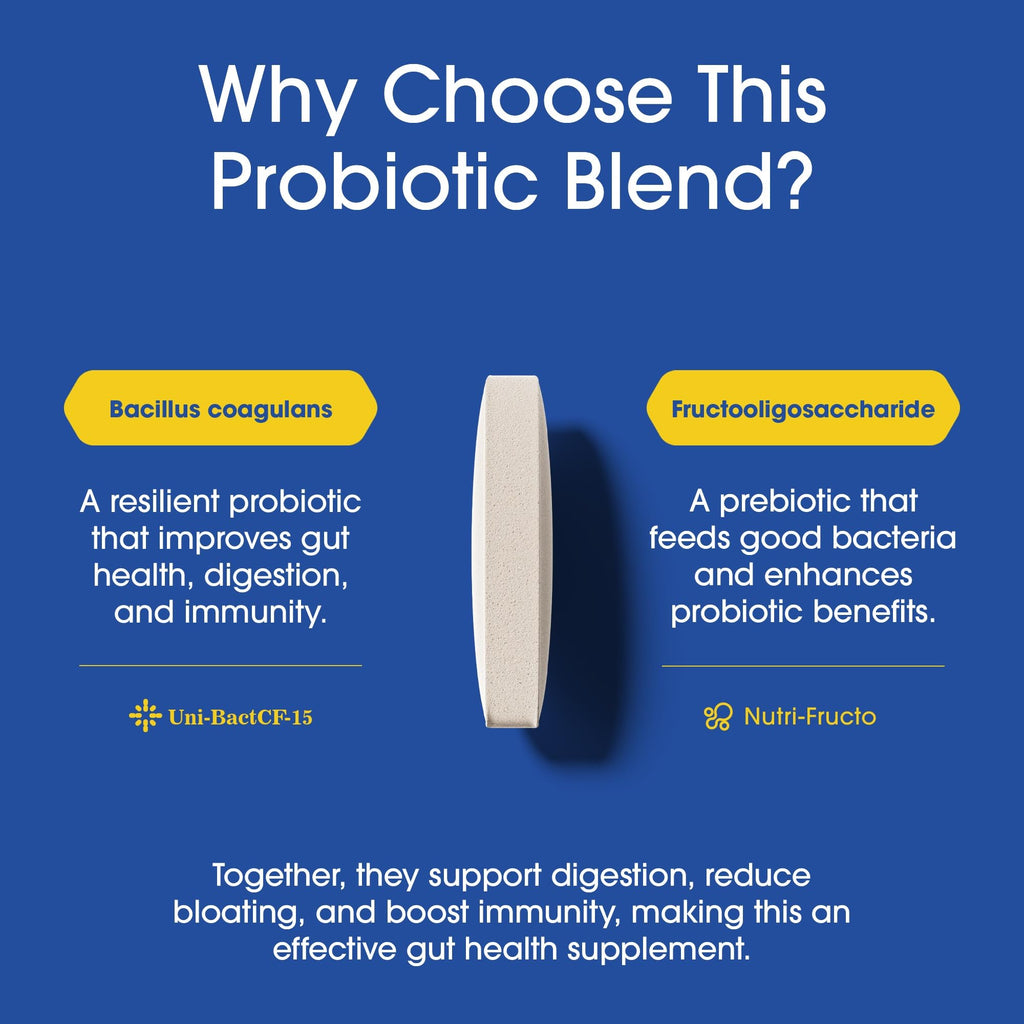 Nutrition Essentials Probiotics for Women and Men - with Lactase Enzyme and Prebiotic Fiber for Digestive Health - 80 Percent + More Potent Supplement - FENGGESTORE20